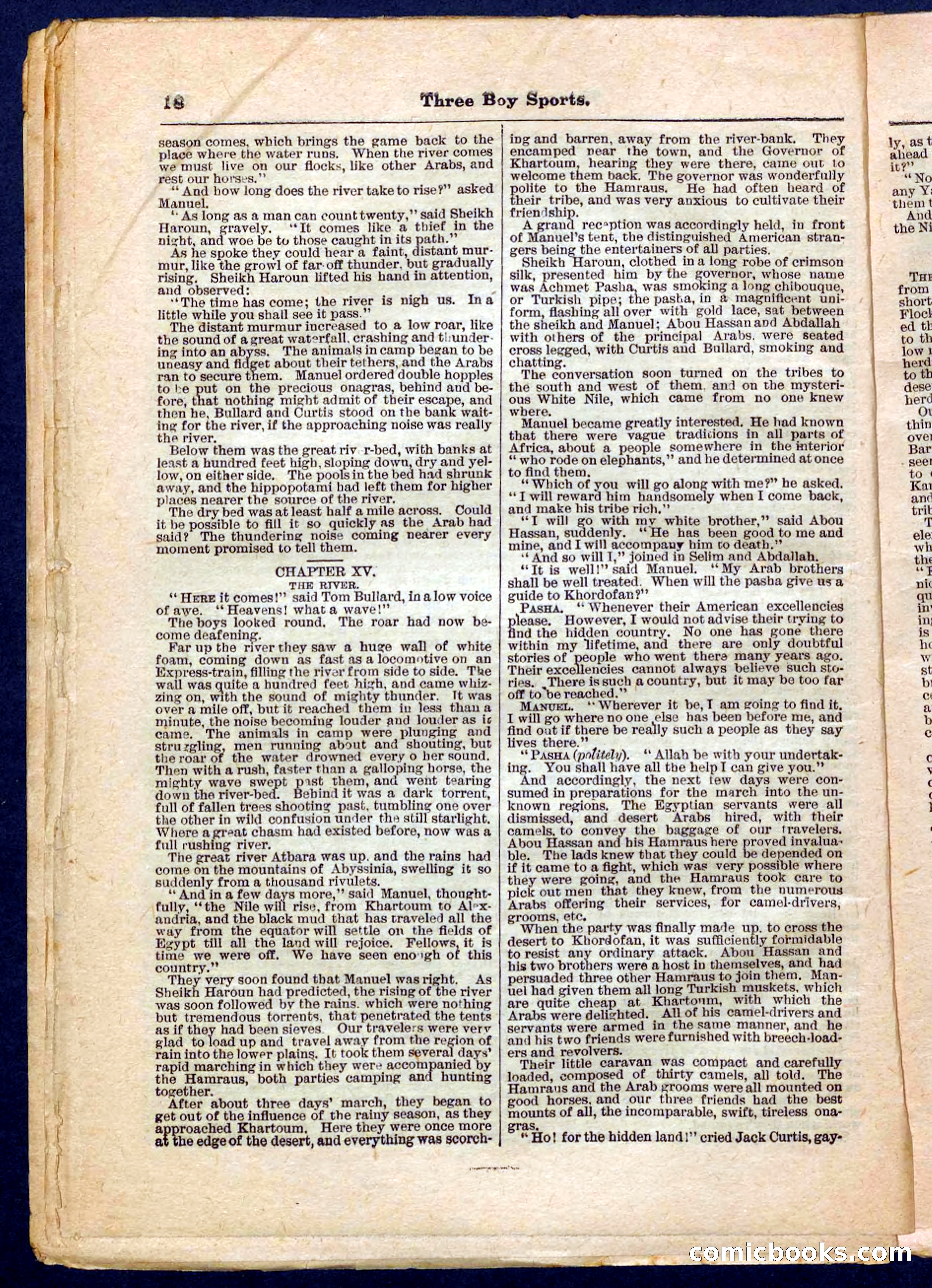 Beadle's Pocket Library No. 230 — page 18 of 32