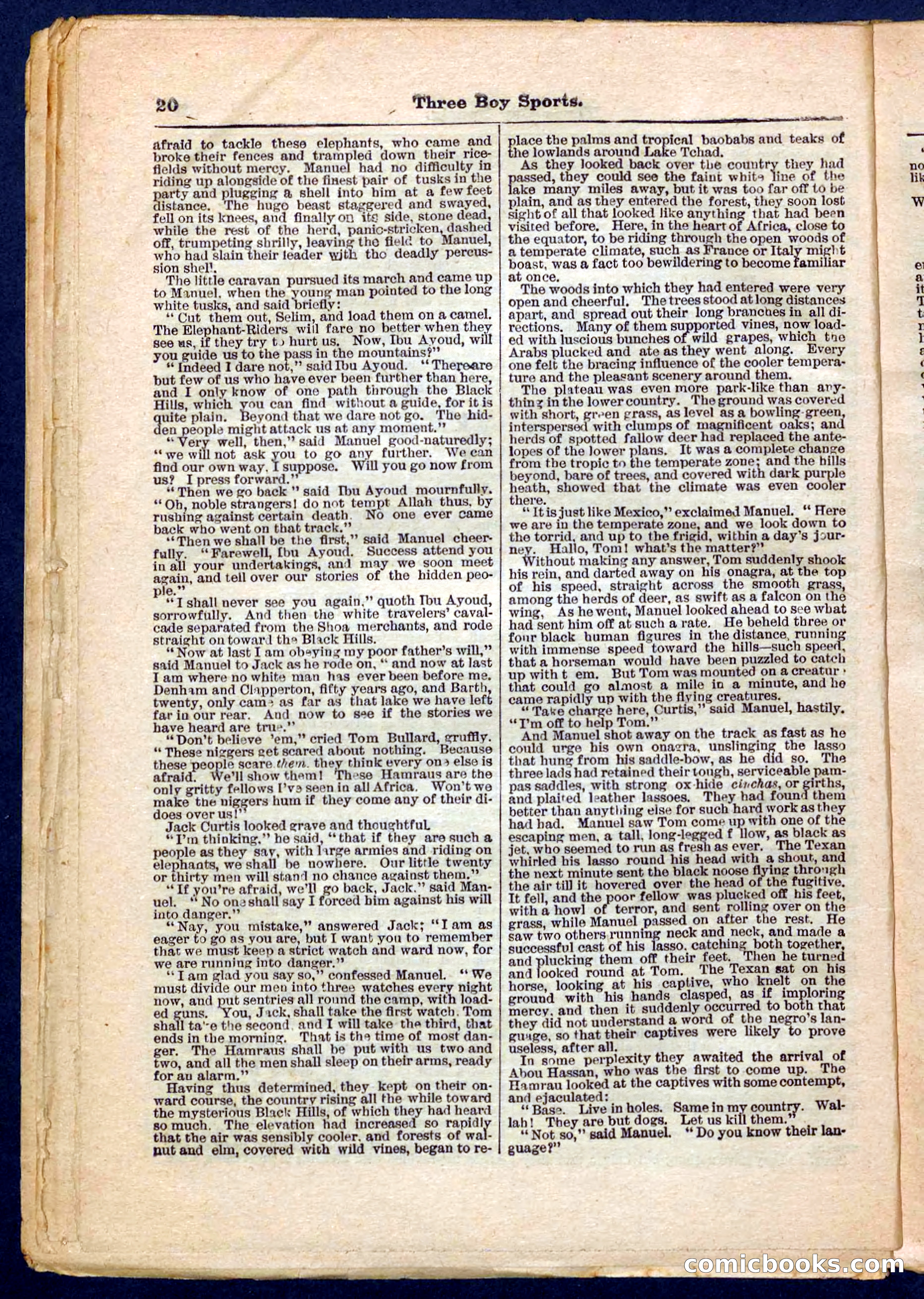 Beadle's Pocket Library No. 230 — page 20 of 32