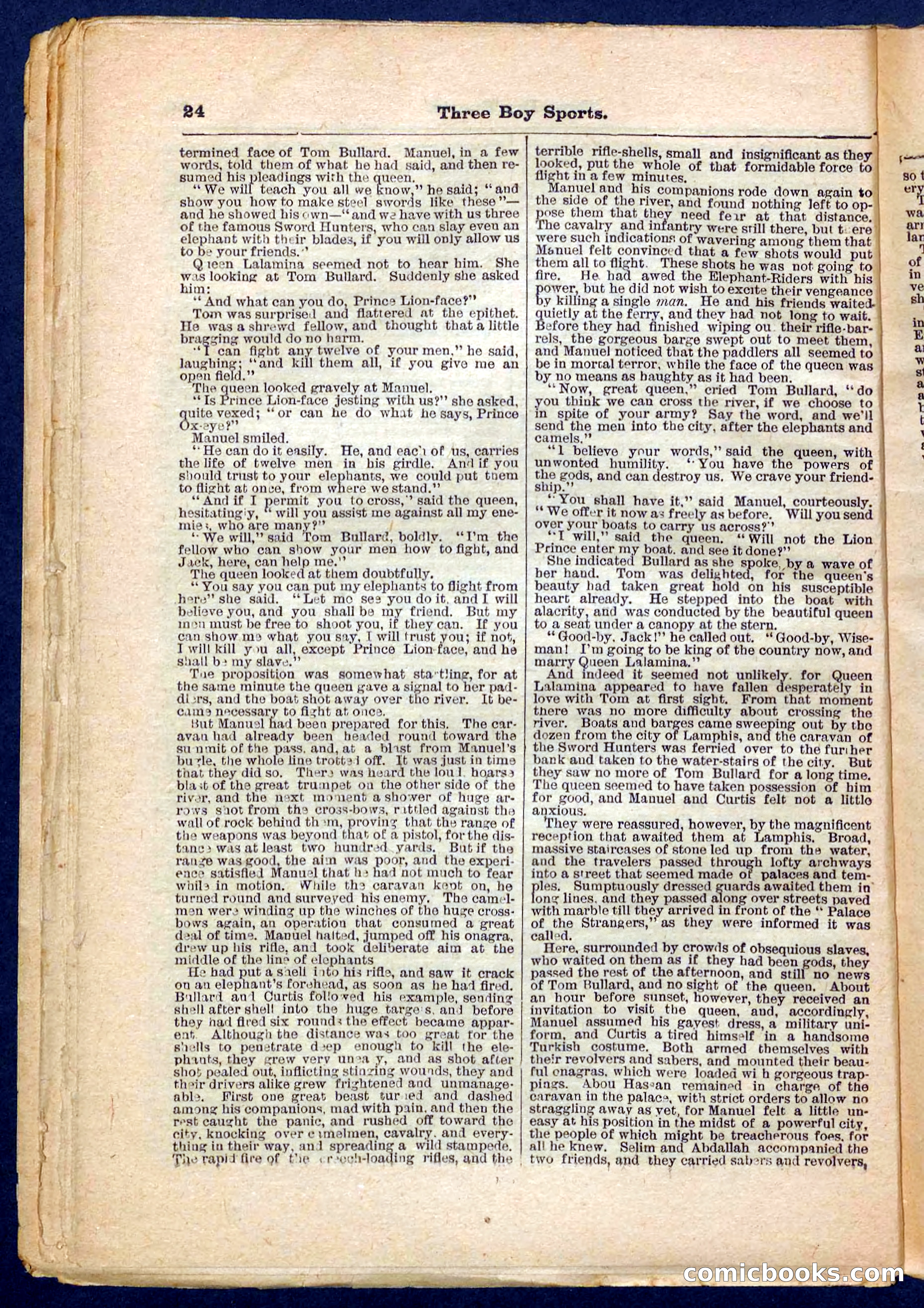 Beadle's Pocket Library No. 230 — page 24 of 32