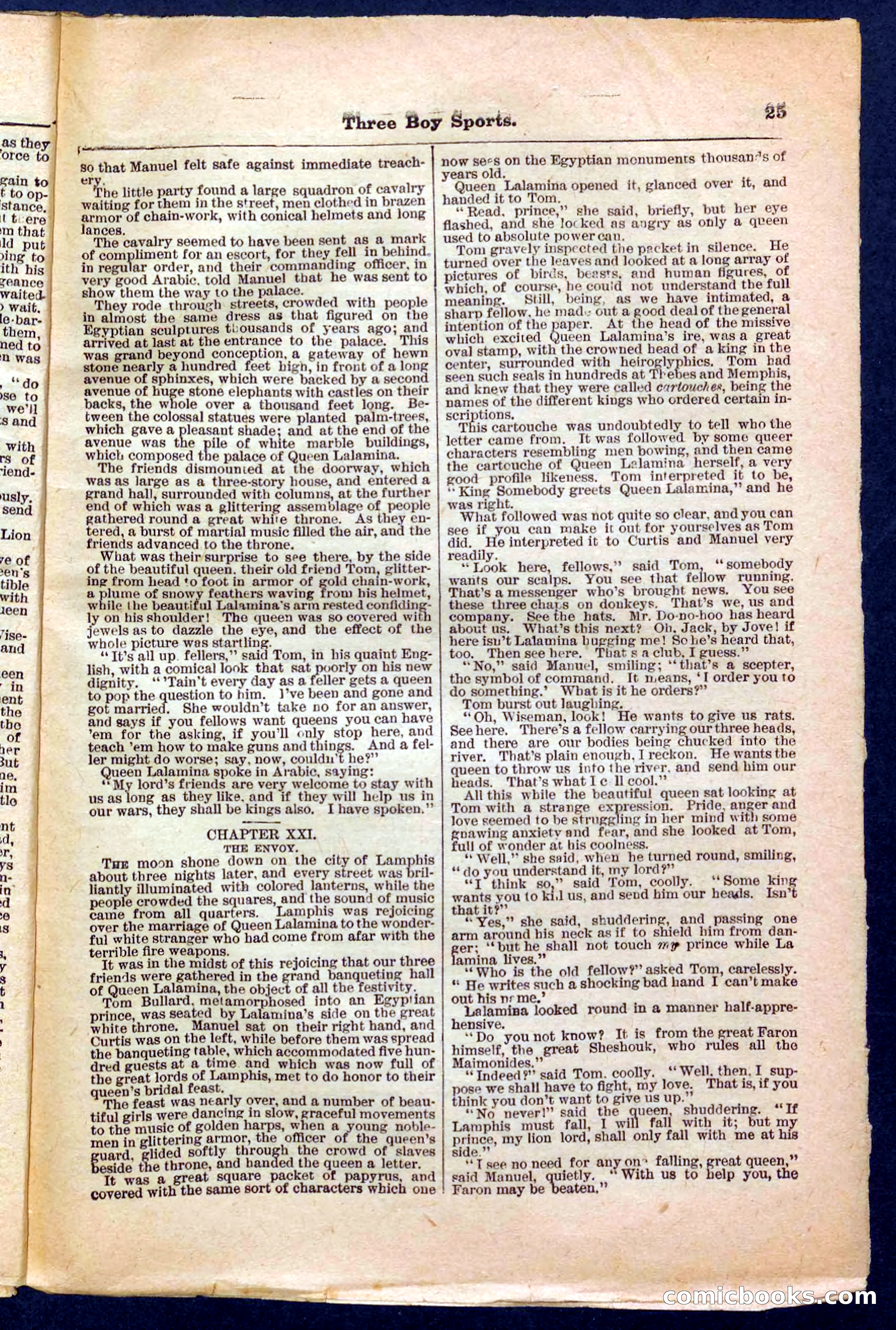 Beadle's Pocket Library No. 230 — page 25 of 32