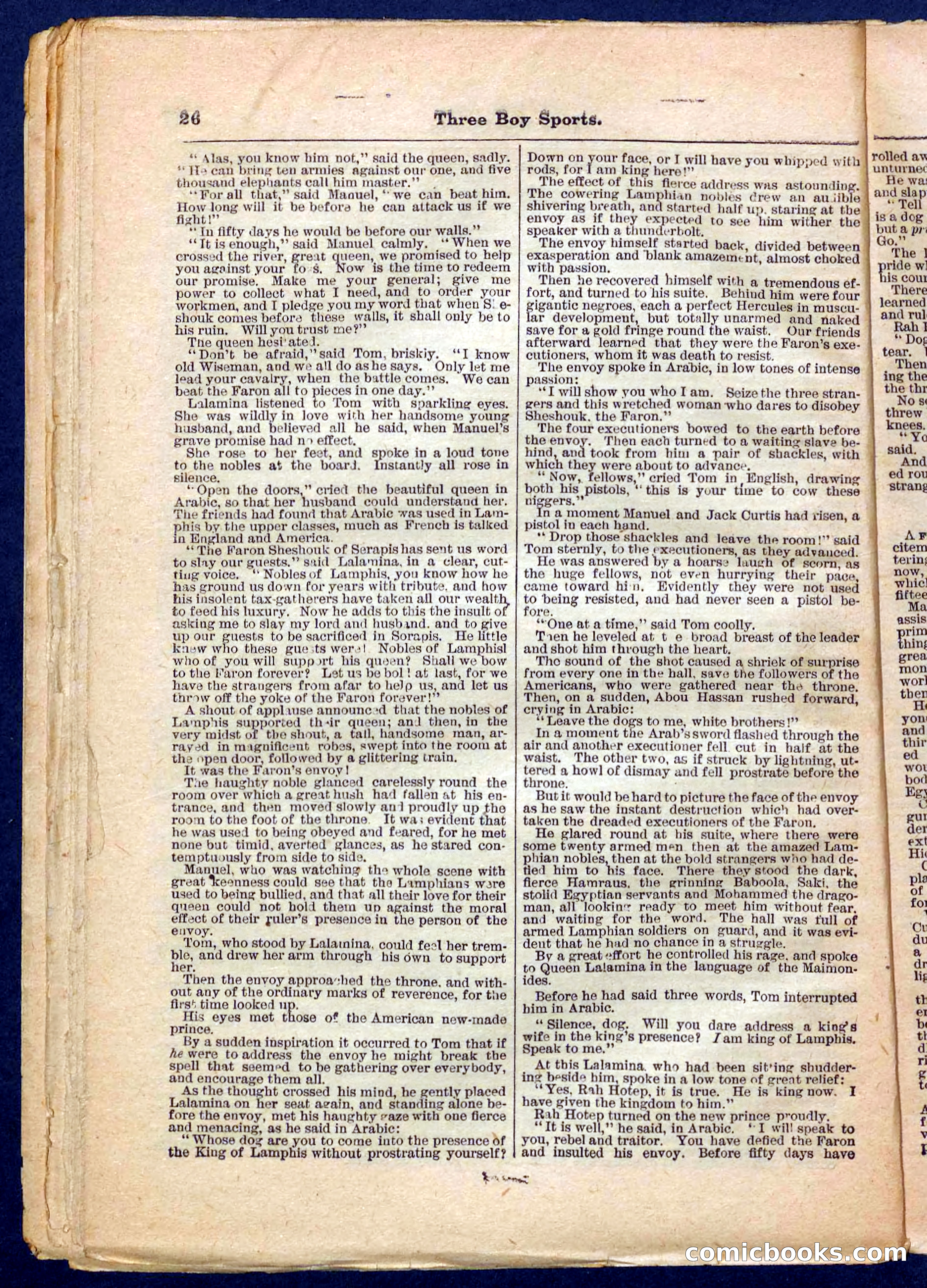 Beadle's Pocket Library No. 230 — page 26 of 32