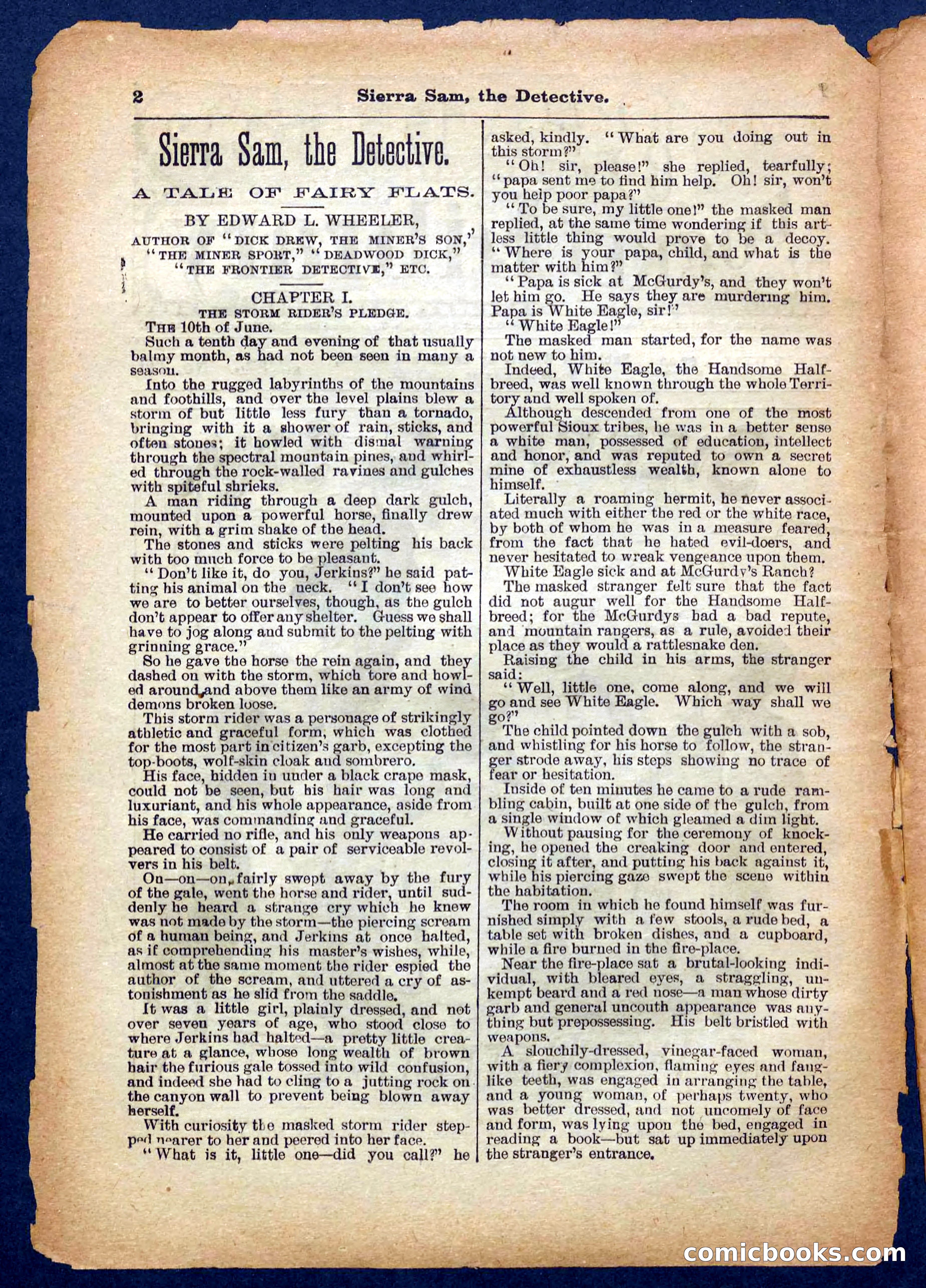 Beadle's Pocket Library No. 231 — page 2 of 32