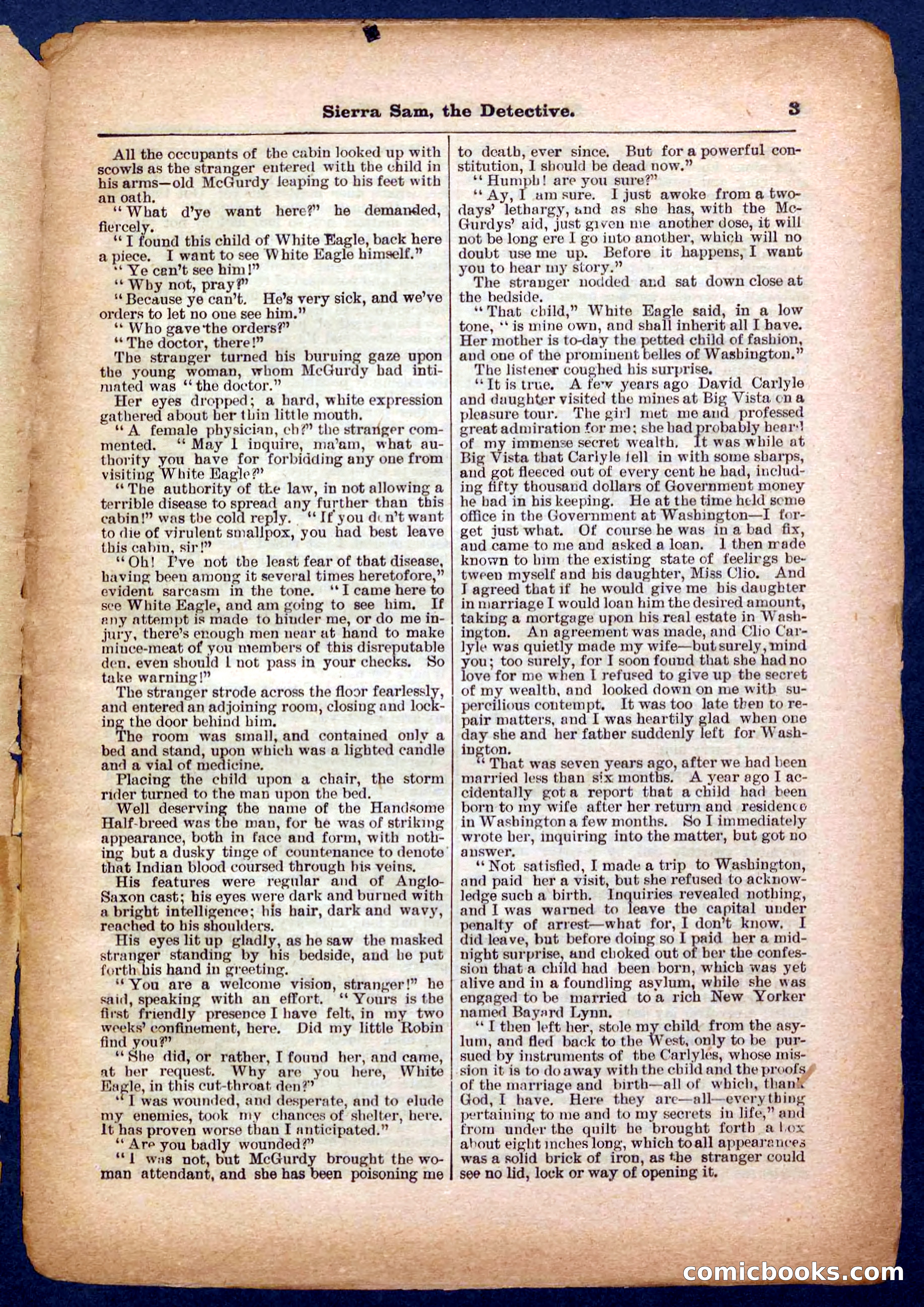 Beadle's Pocket Library No. 231 — page 3 of 32