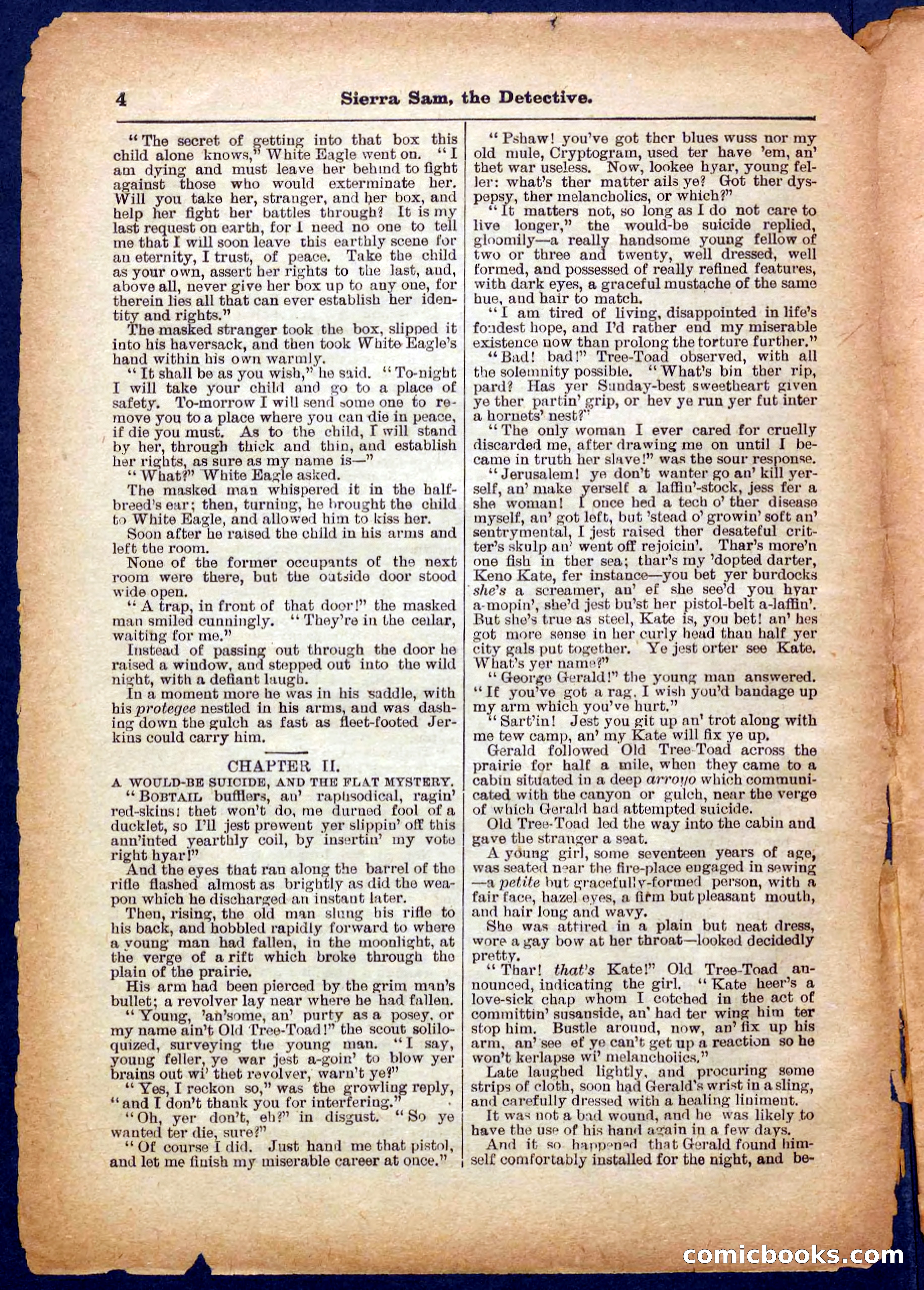 Beadle's Pocket Library No. 231 — page 4 of 32