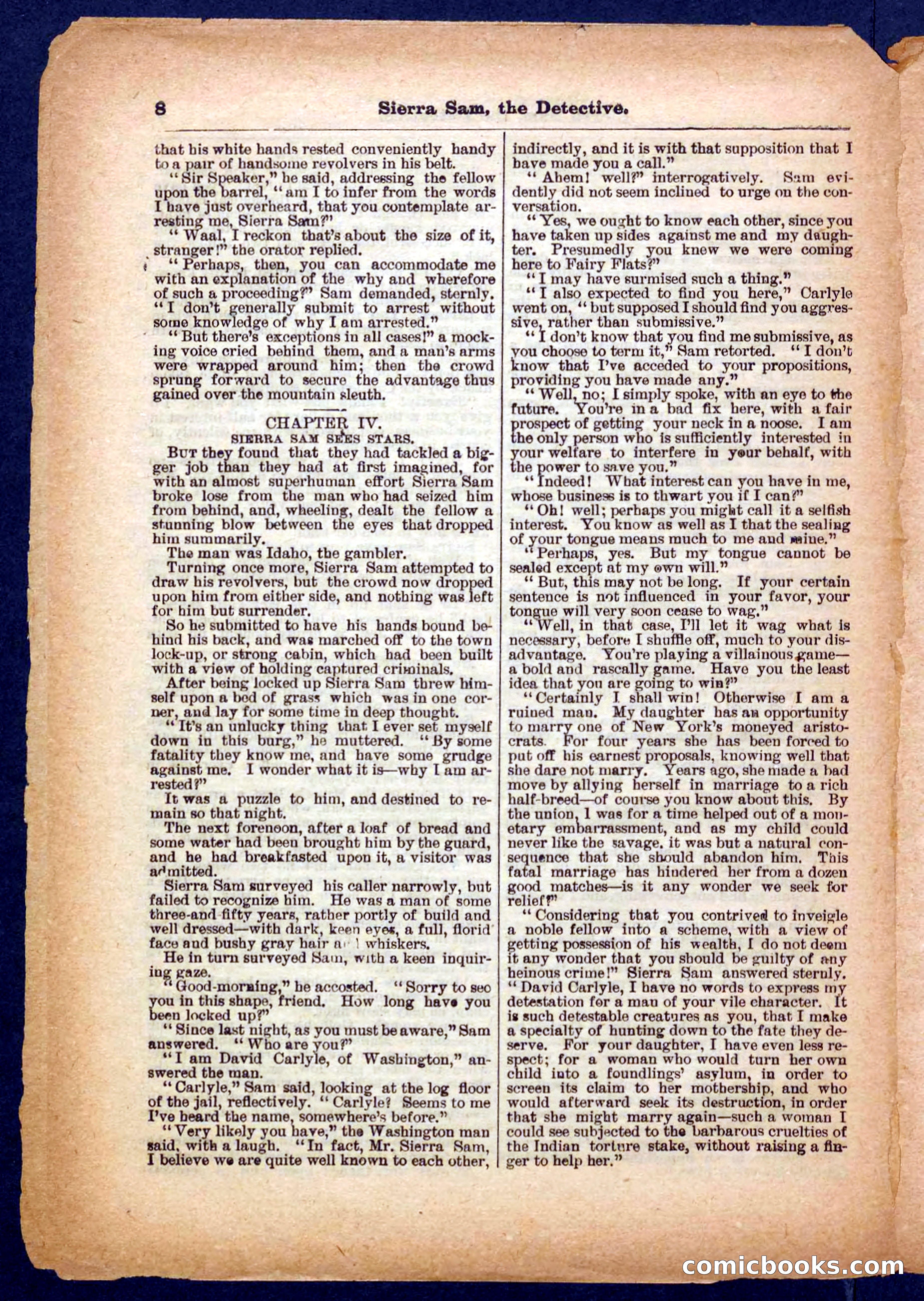 Beadle's Pocket Library No. 231 — page 8 of 32
