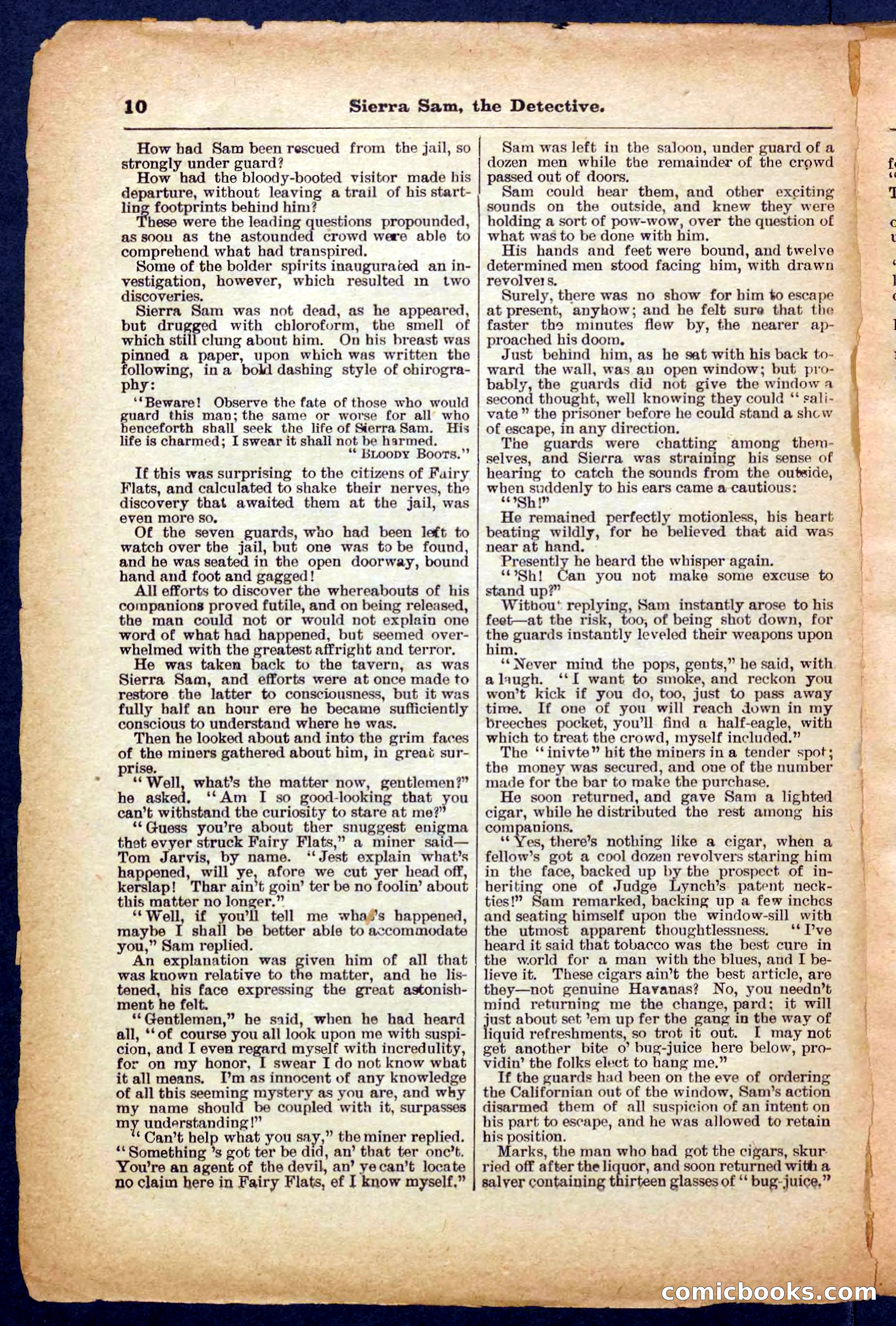 Beadle's Pocket Library No. 231 — page 10 of 32