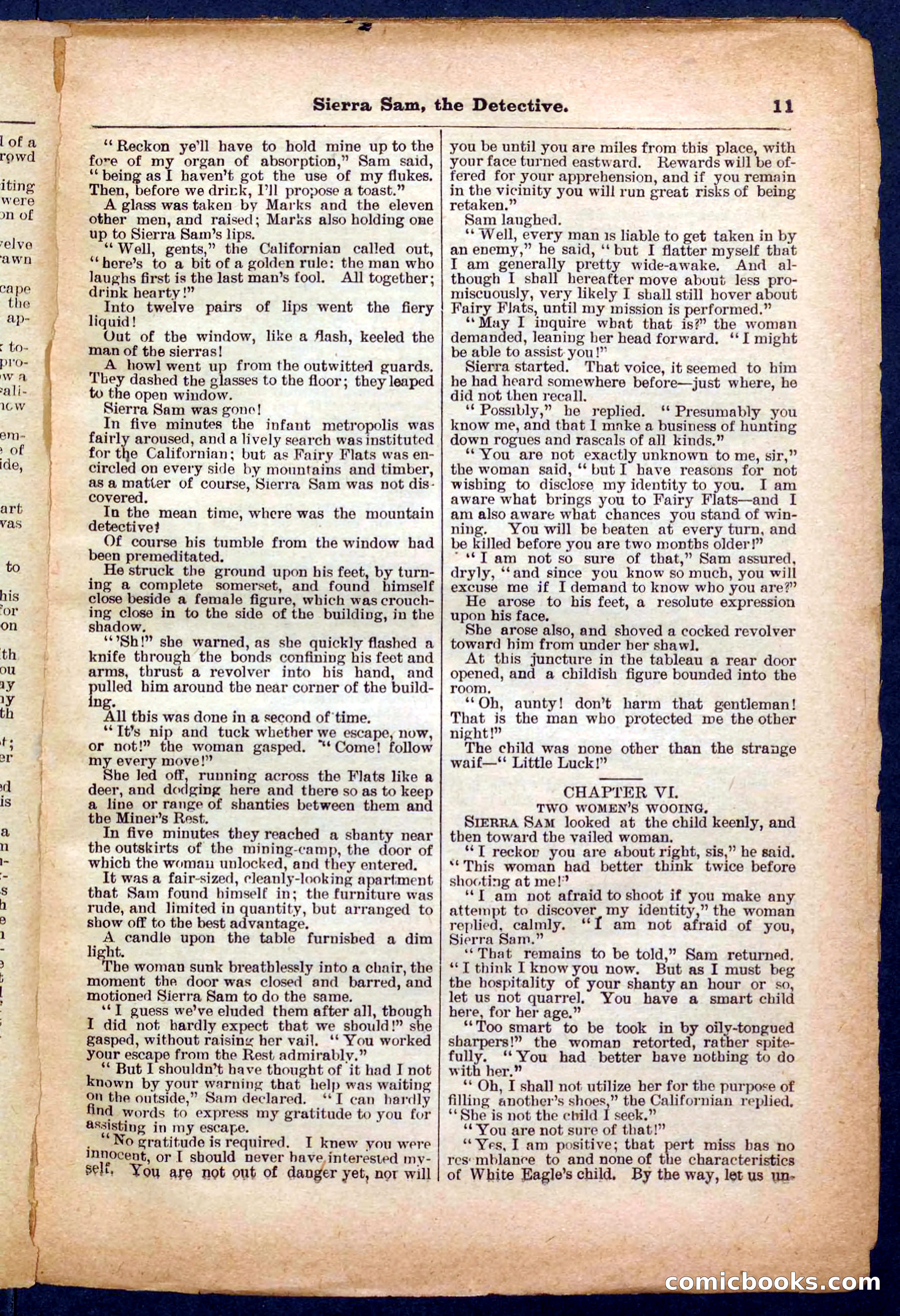 Beadle's Pocket Library No. 231 — page 11 of 32