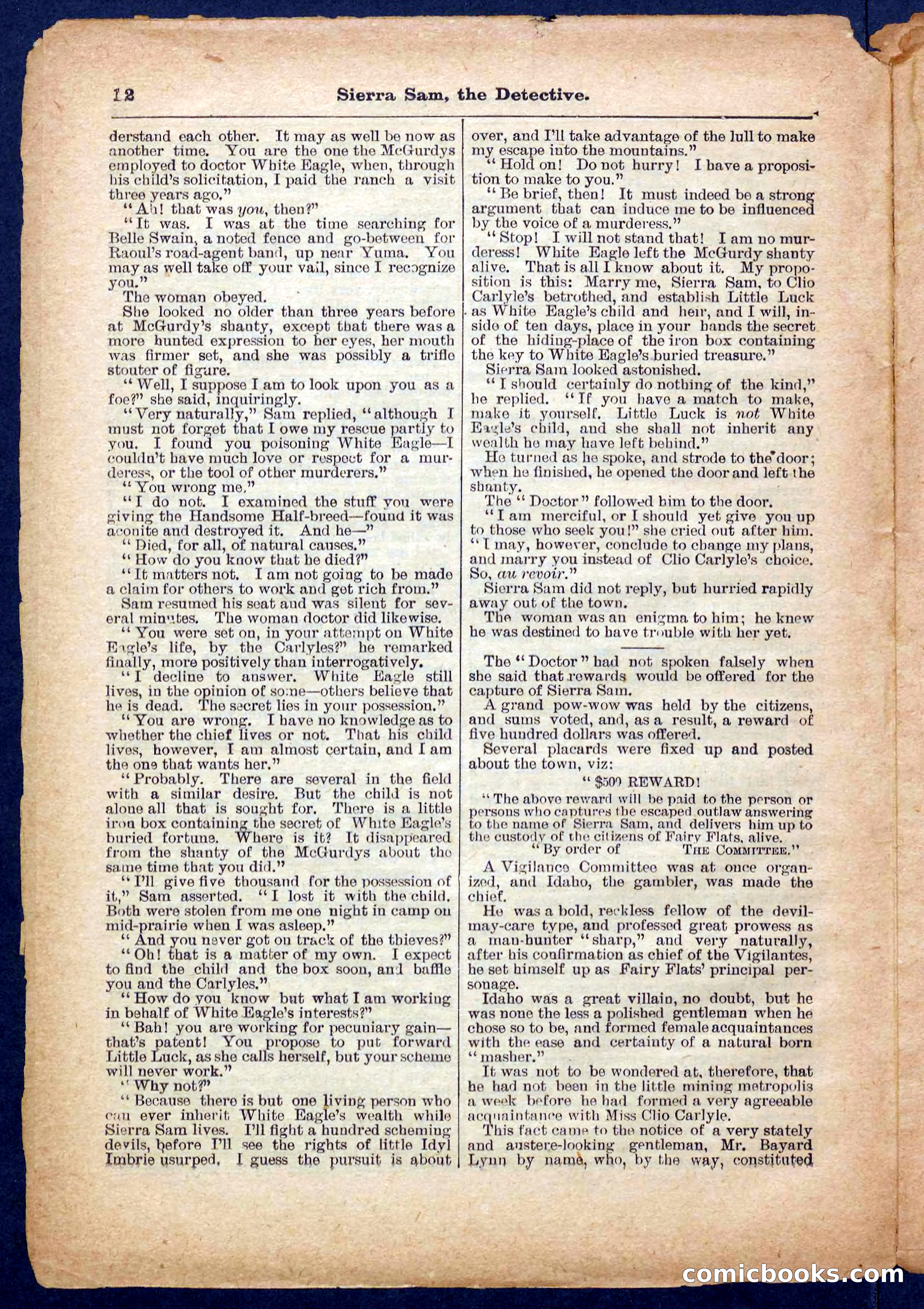 Beadle's Pocket Library No. 231 — page 12 of 32
