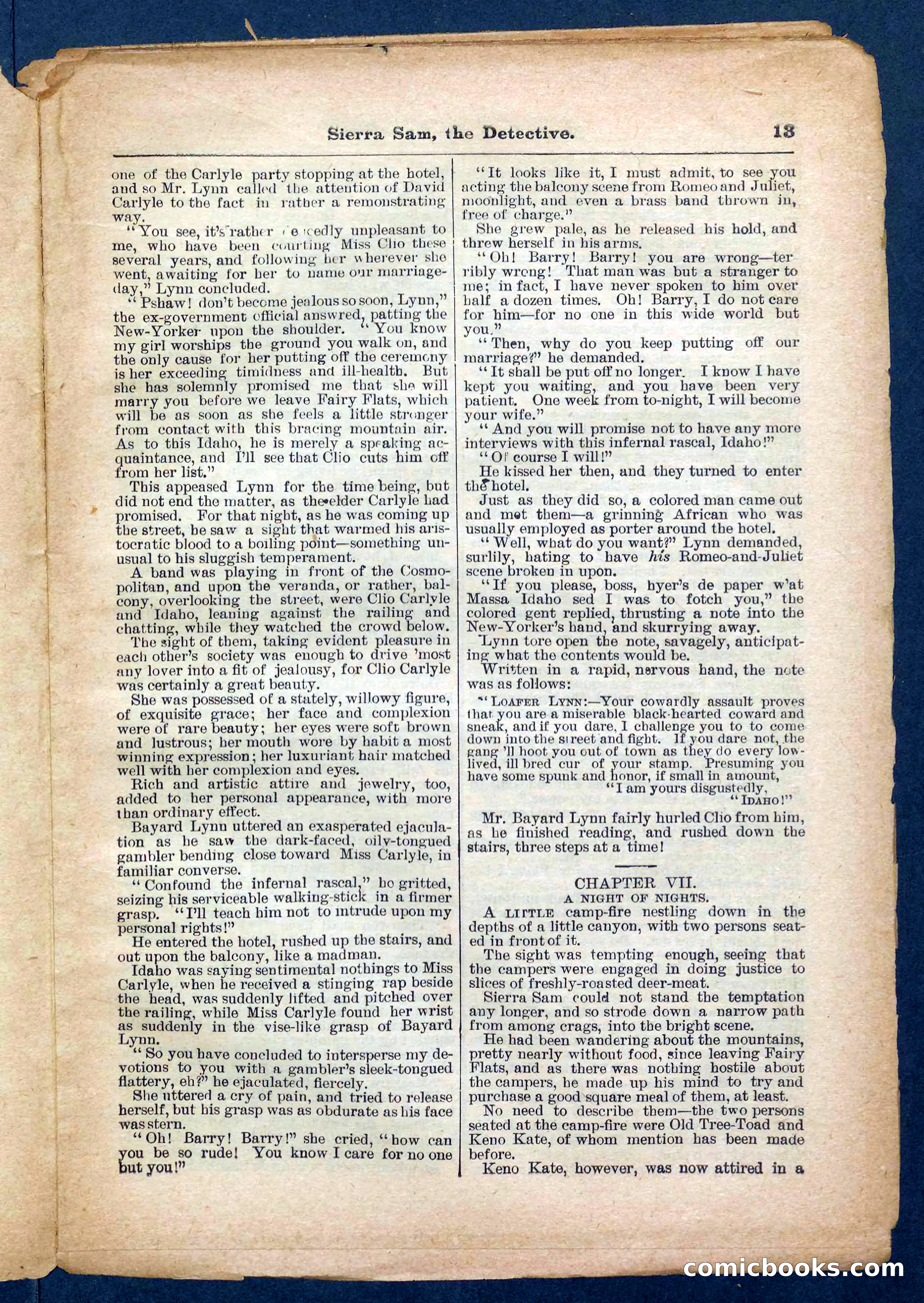 Beadle's Pocket Library No. 231 — page 13 of 32