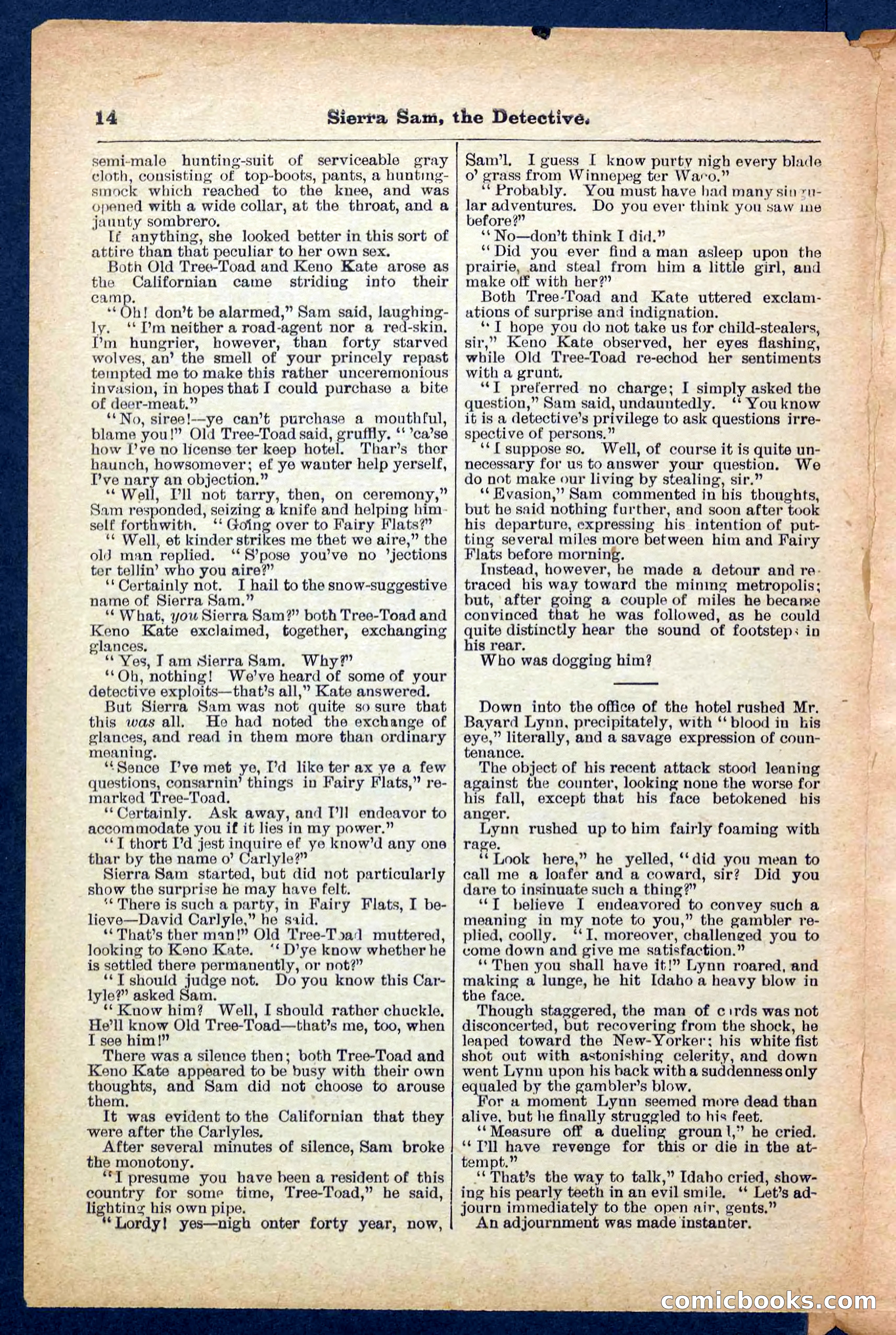 Beadle's Pocket Library No. 231 — page 14 of 32