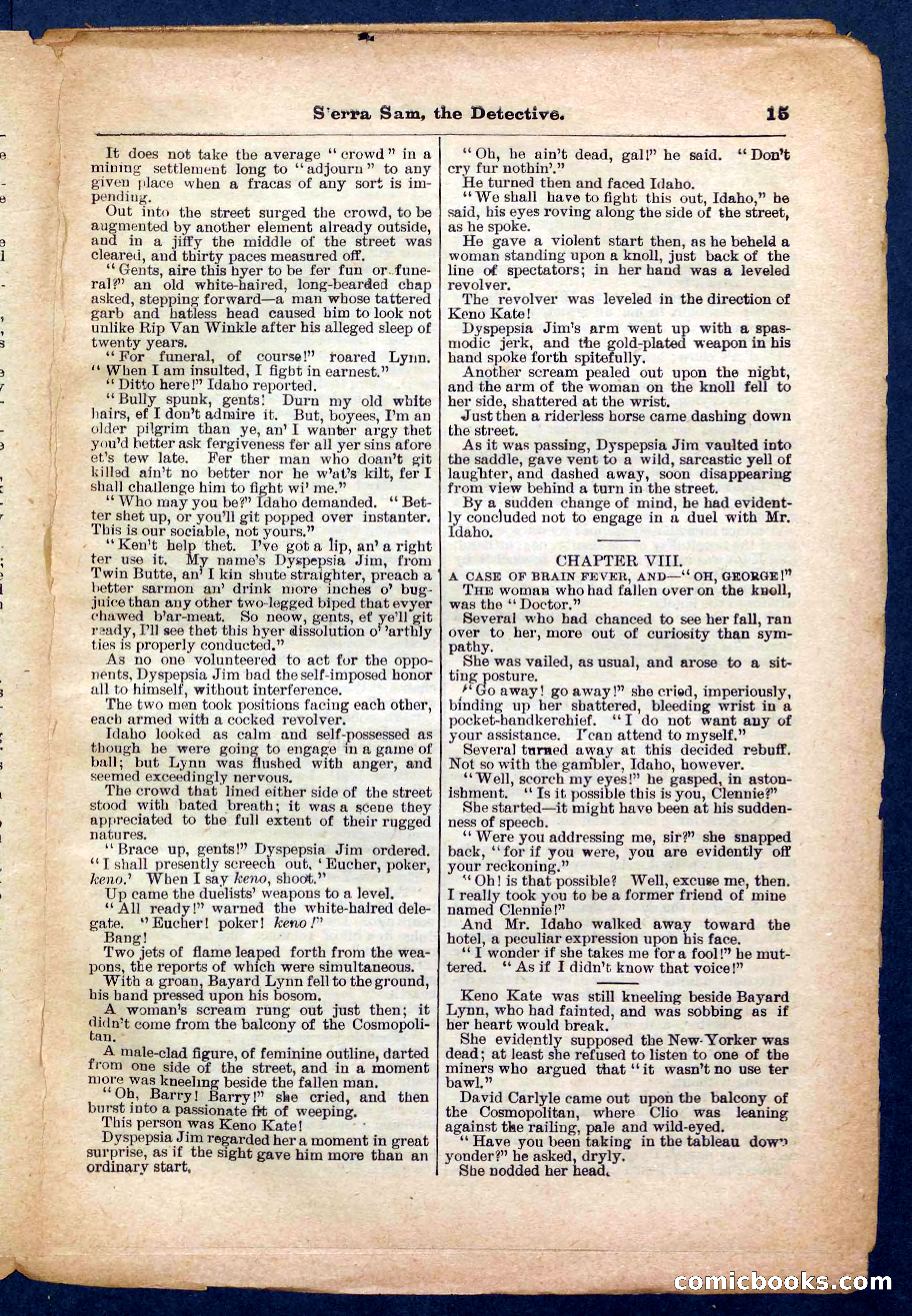 Beadle's Pocket Library No. 231 — page 15 of 32