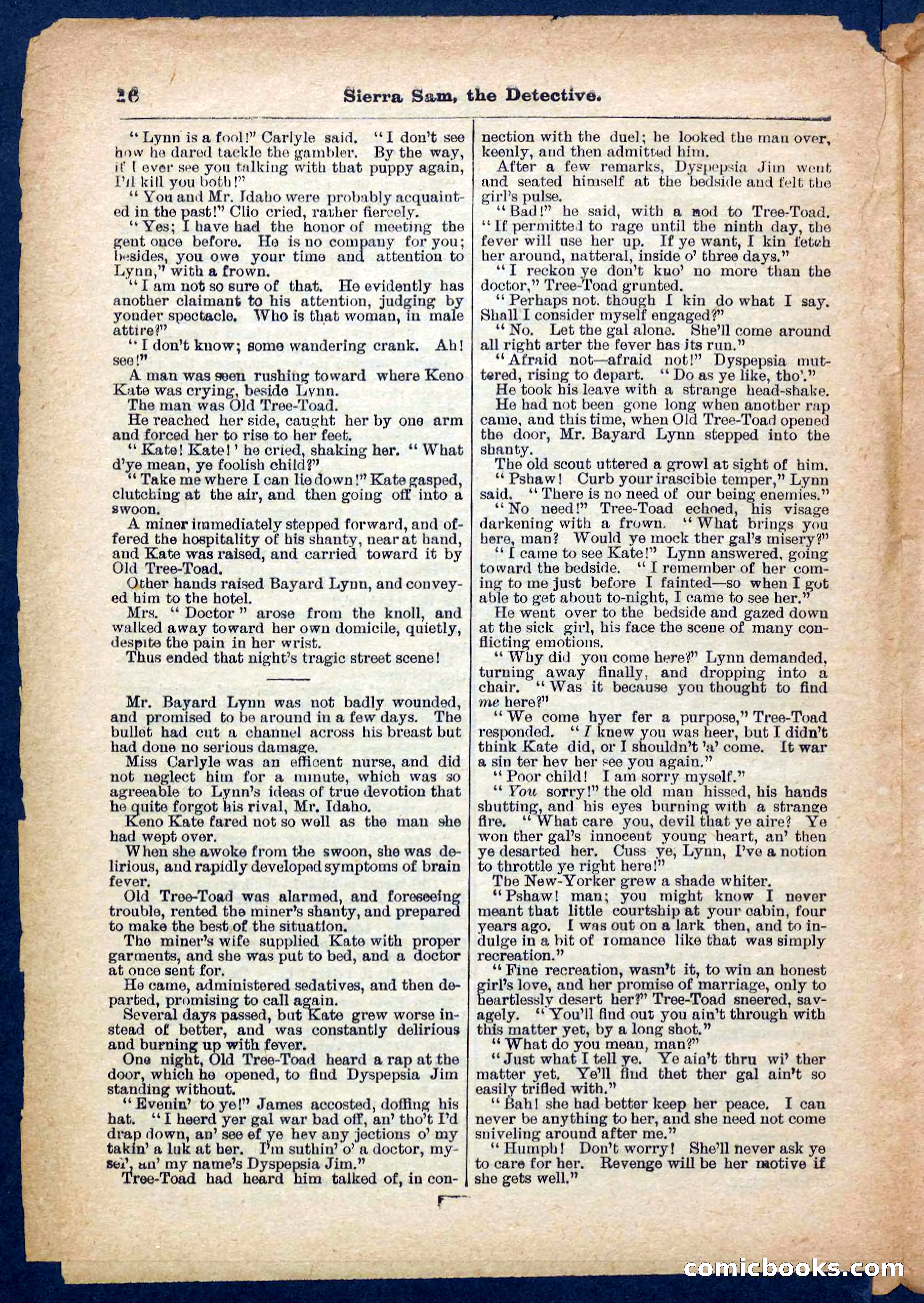 Beadle's Pocket Library No. 231 — page 16 of 32