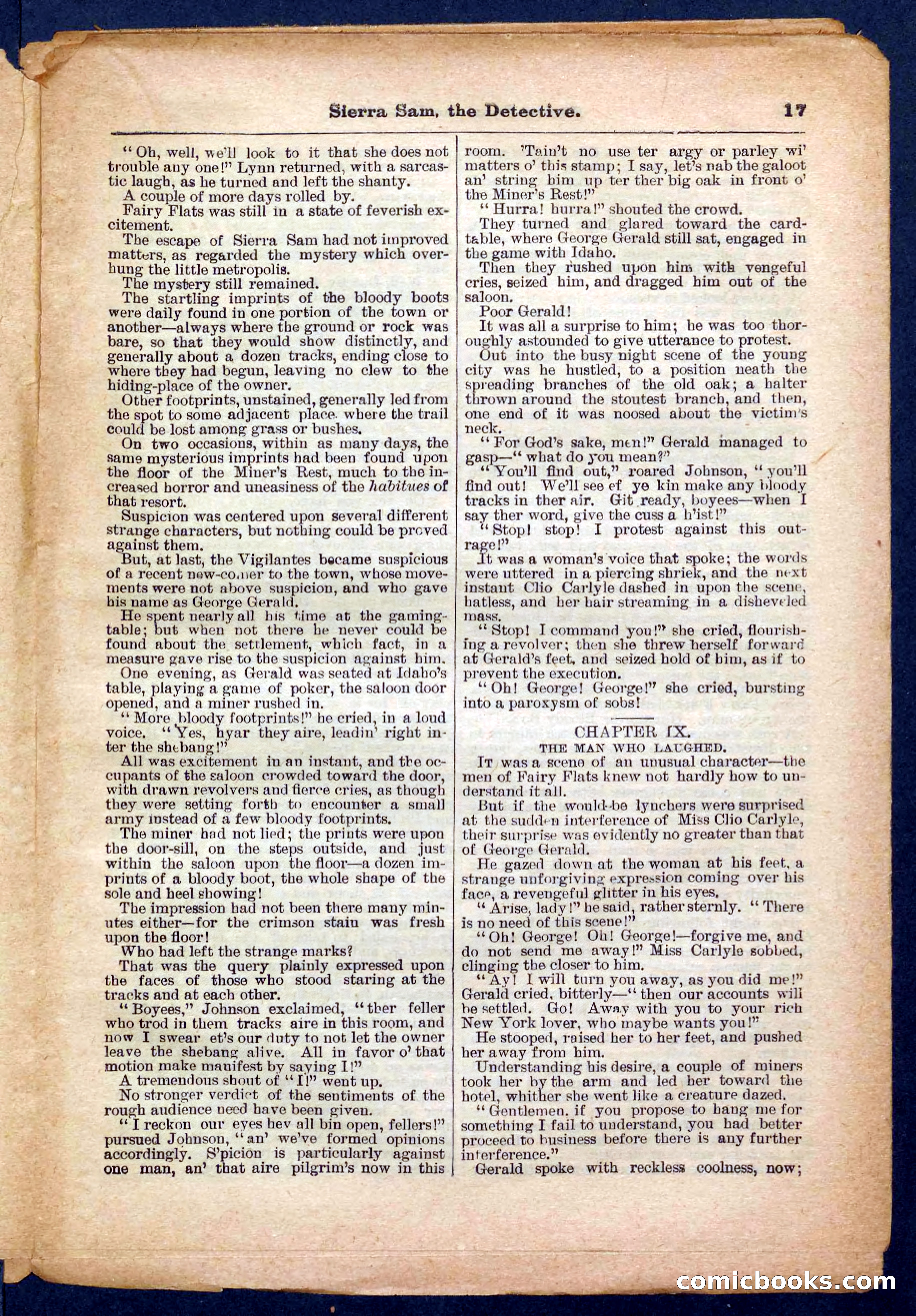 Beadle's Pocket Library No. 231 — page 17 of 32