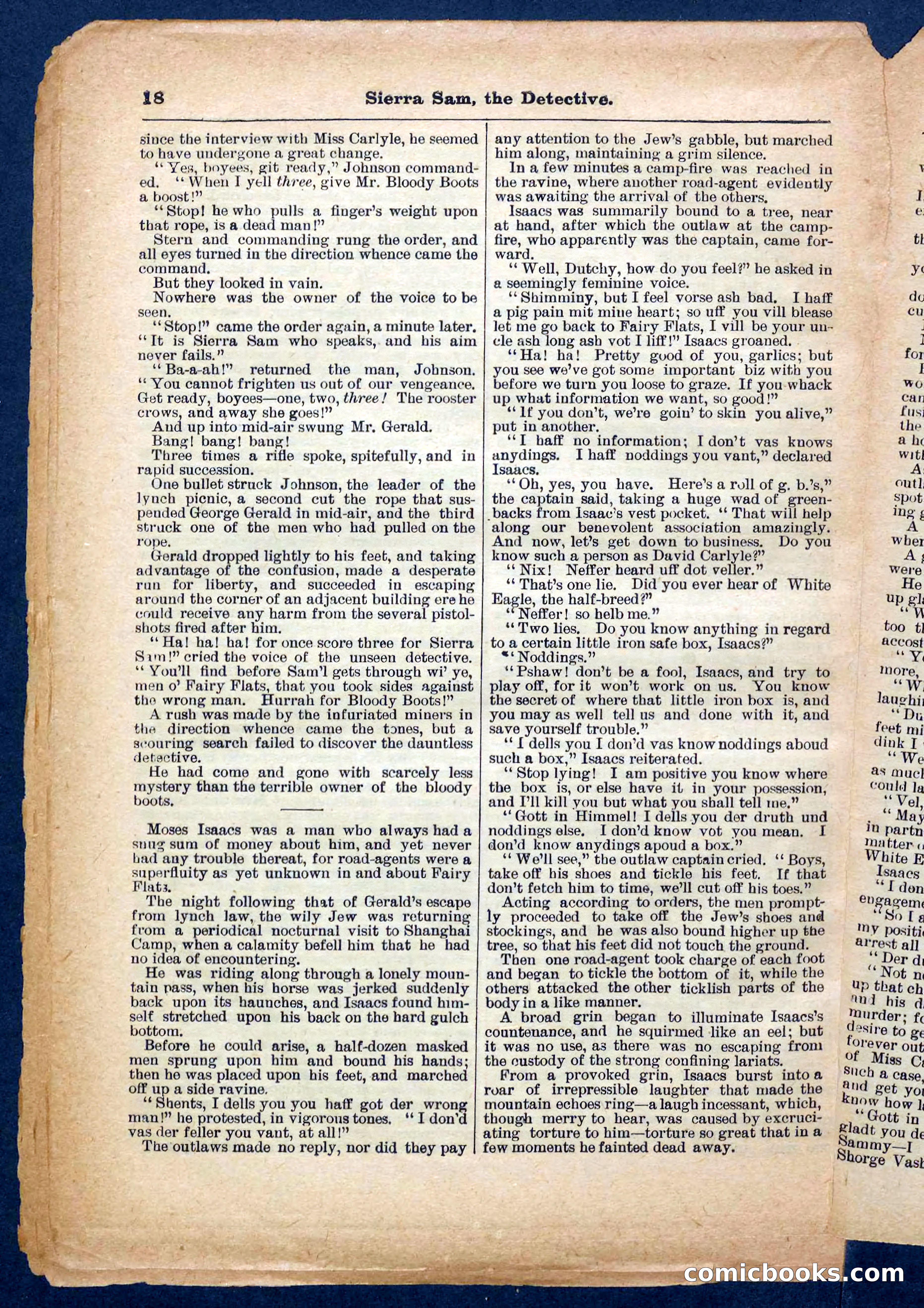 Beadle's Pocket Library No. 231 — page 18 of 32