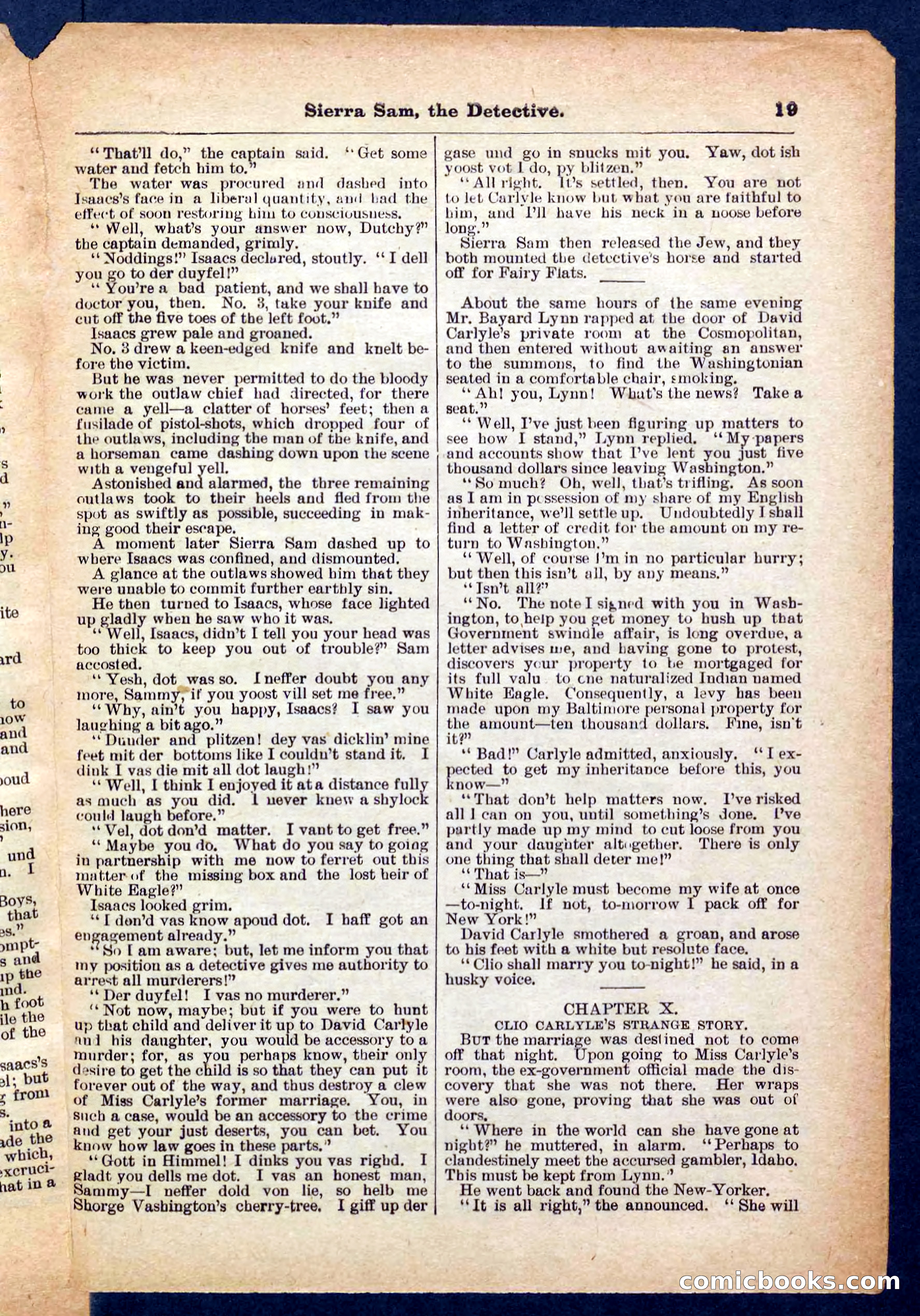 Beadle's Pocket Library No. 231 — page 19 of 32
