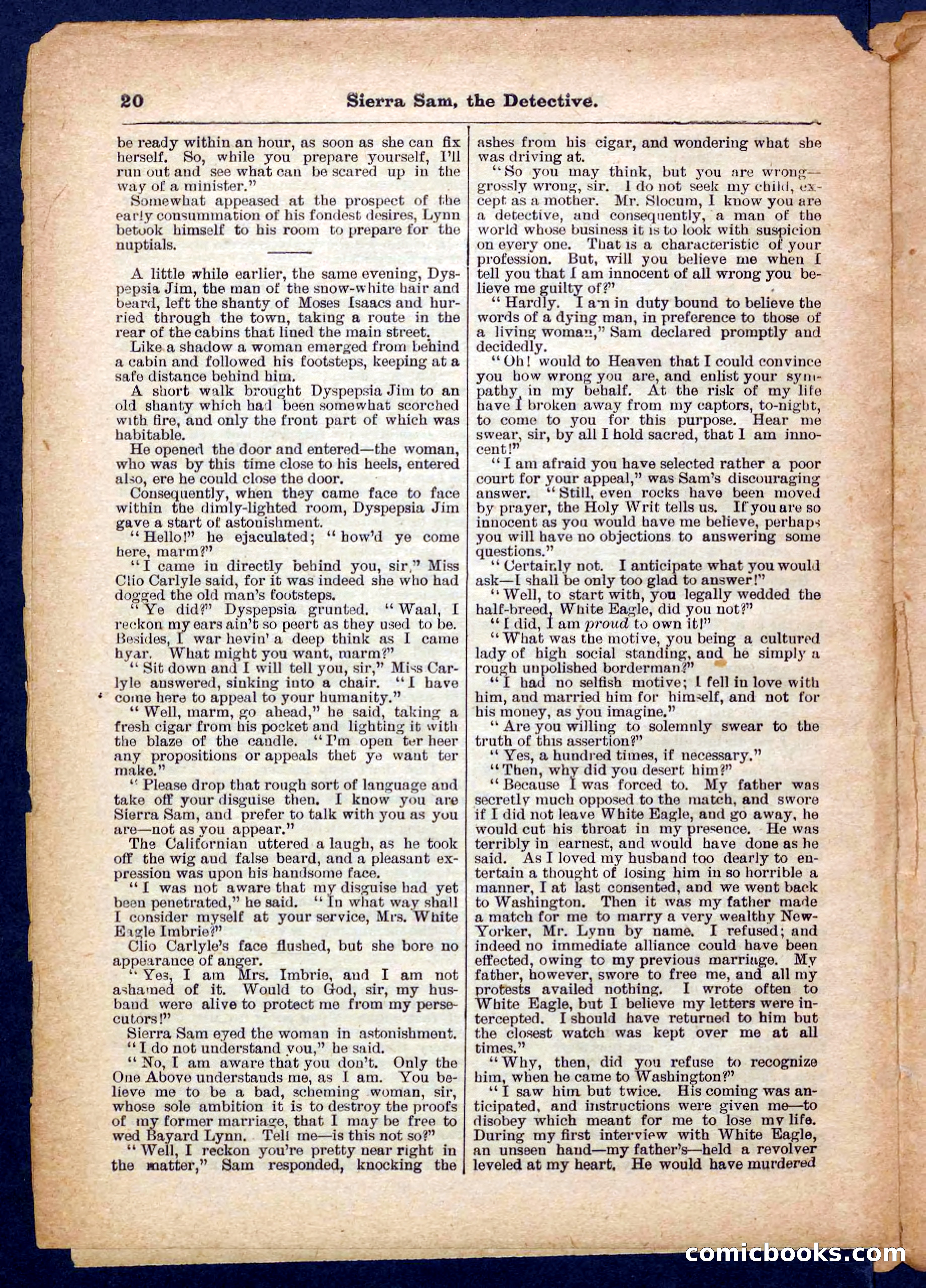 Beadle's Pocket Library No. 231 — page 20 of 32