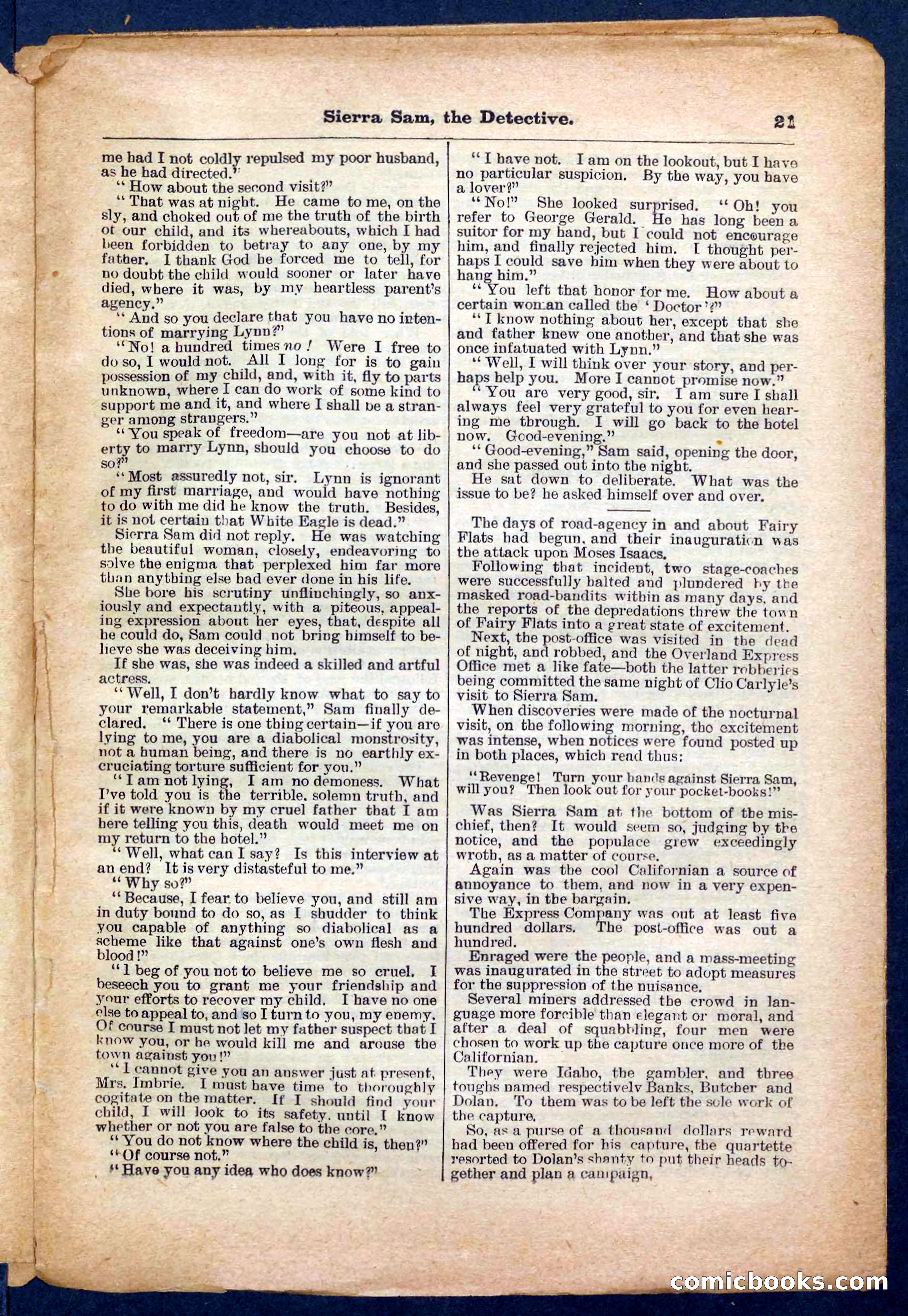 Beadle's Pocket Library No. 231 — page 21 of 32