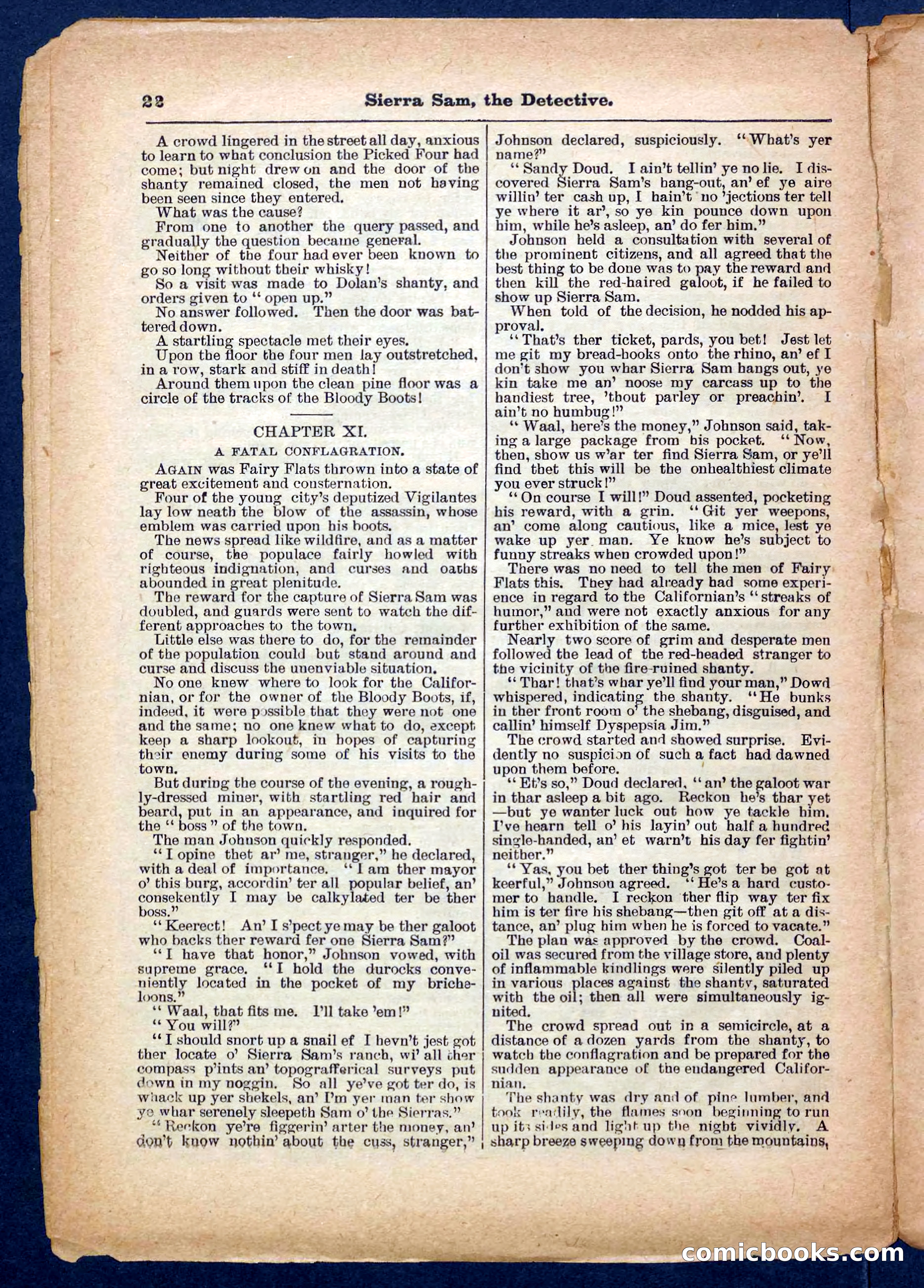 Beadle's Pocket Library No. 231 — page 22 of 32