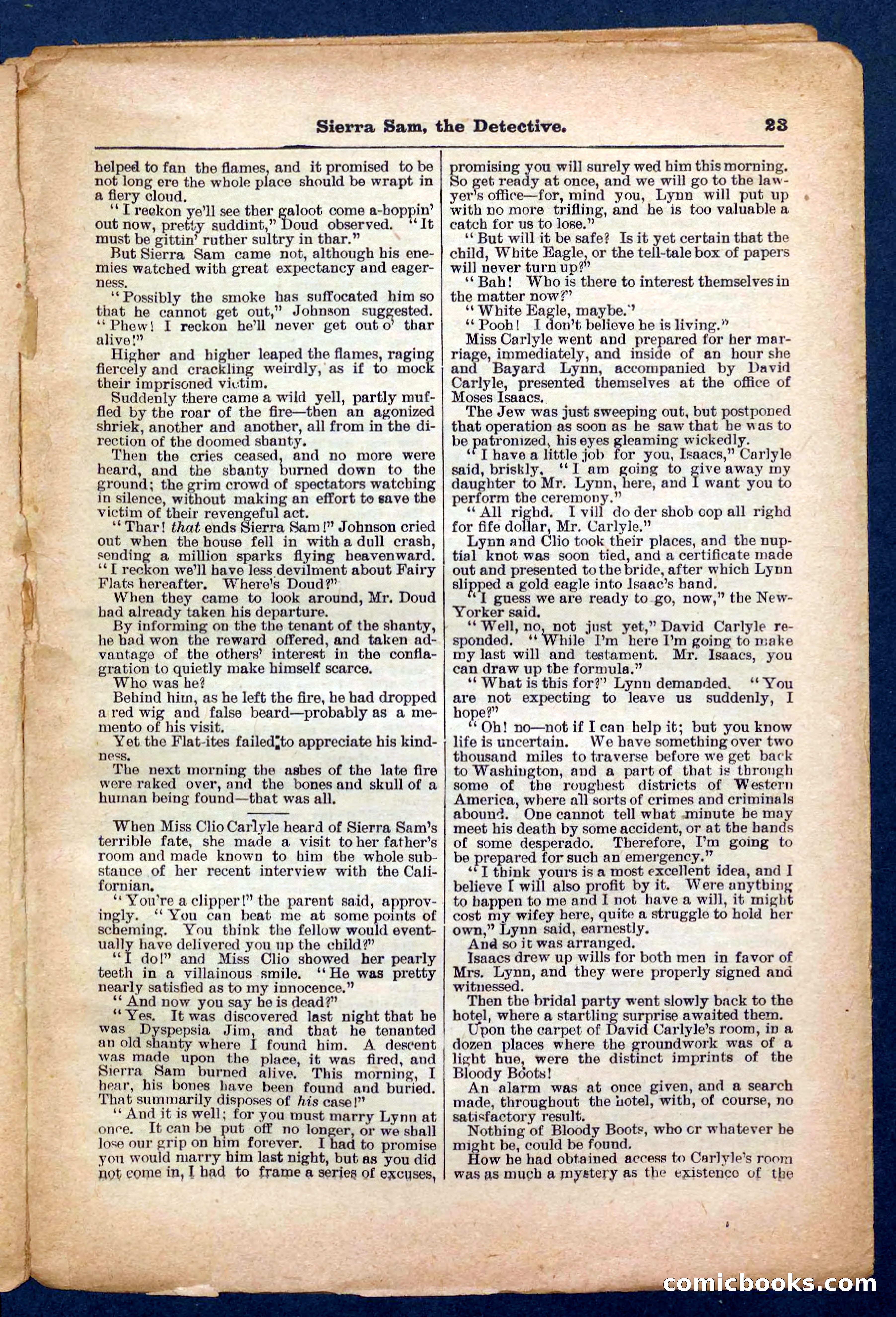 Beadle's Pocket Library No. 231 — page 23 of 32