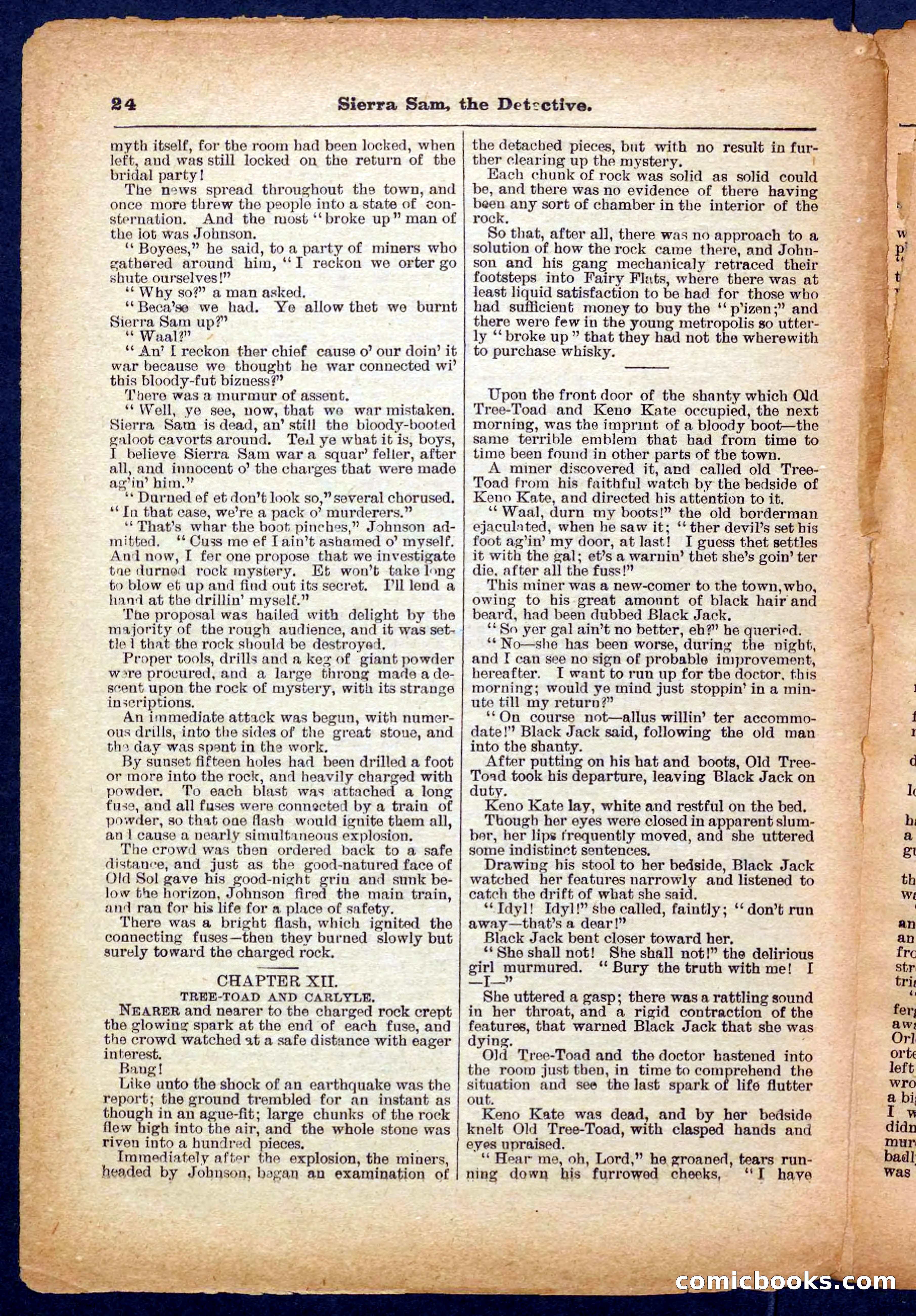 Beadle's Pocket Library No. 231 — page 24 of 32