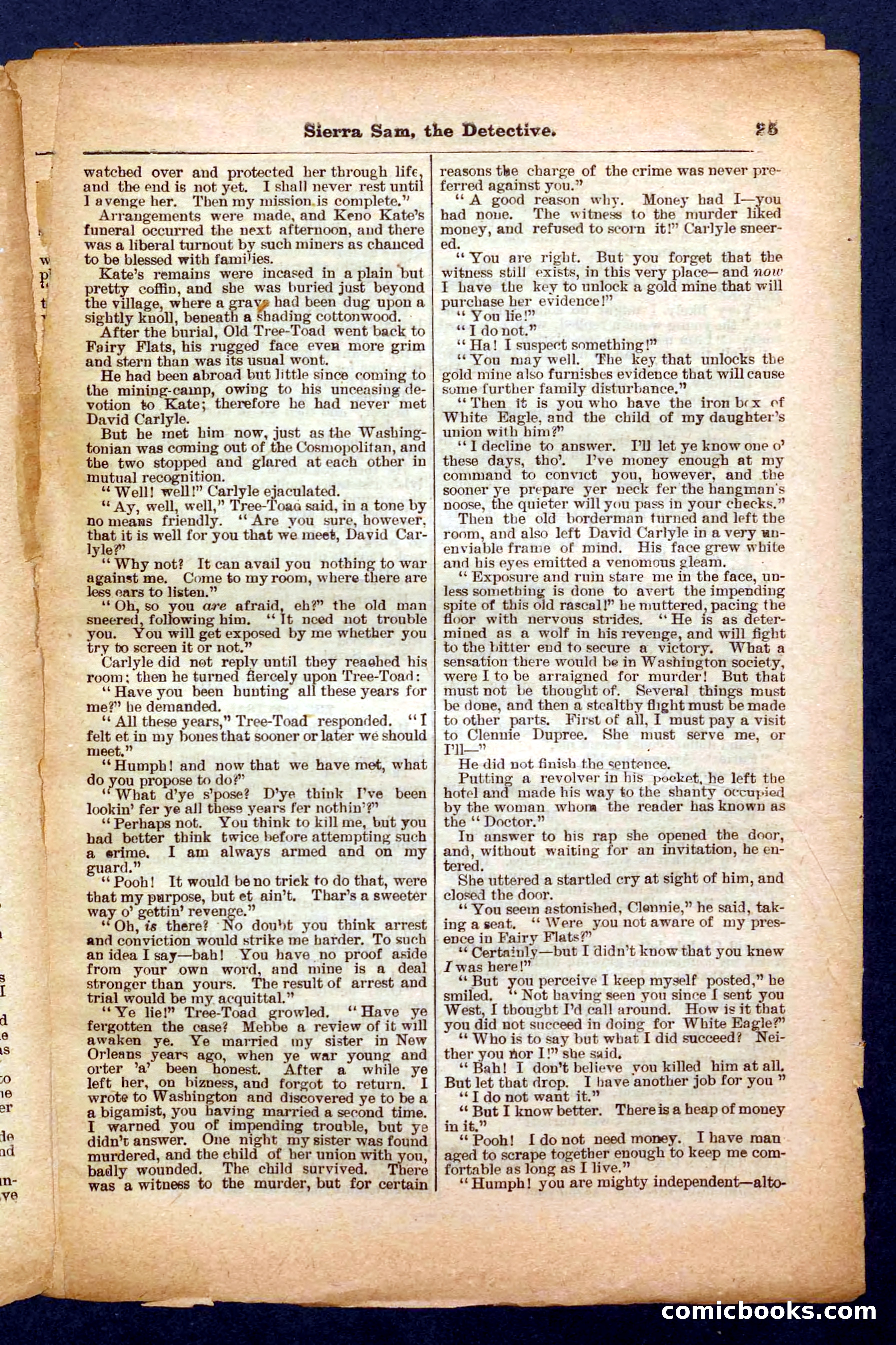 Beadle's Pocket Library No. 231 — page 25 of 32