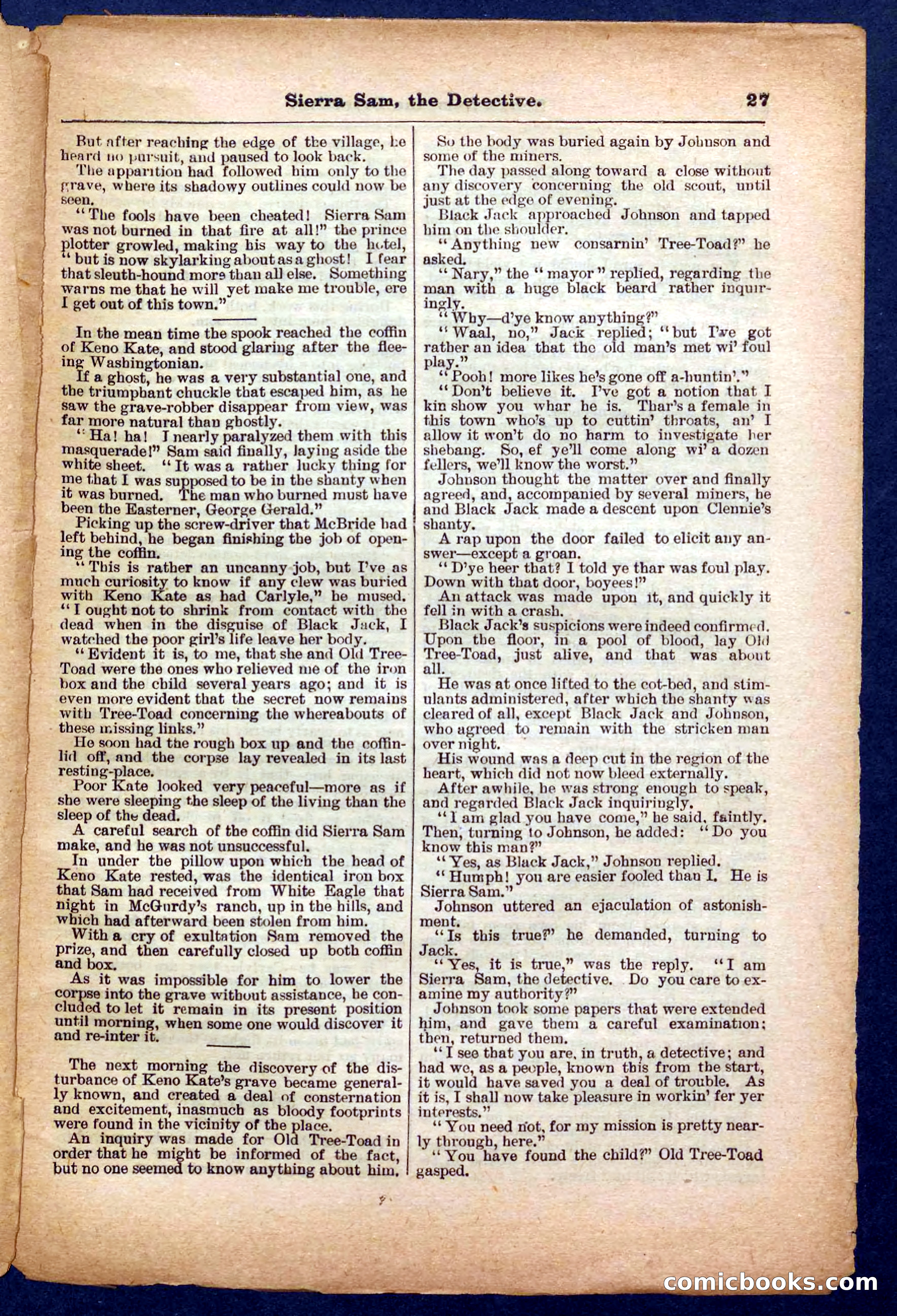 Beadle's Pocket Library No. 231 — page 27 of 32