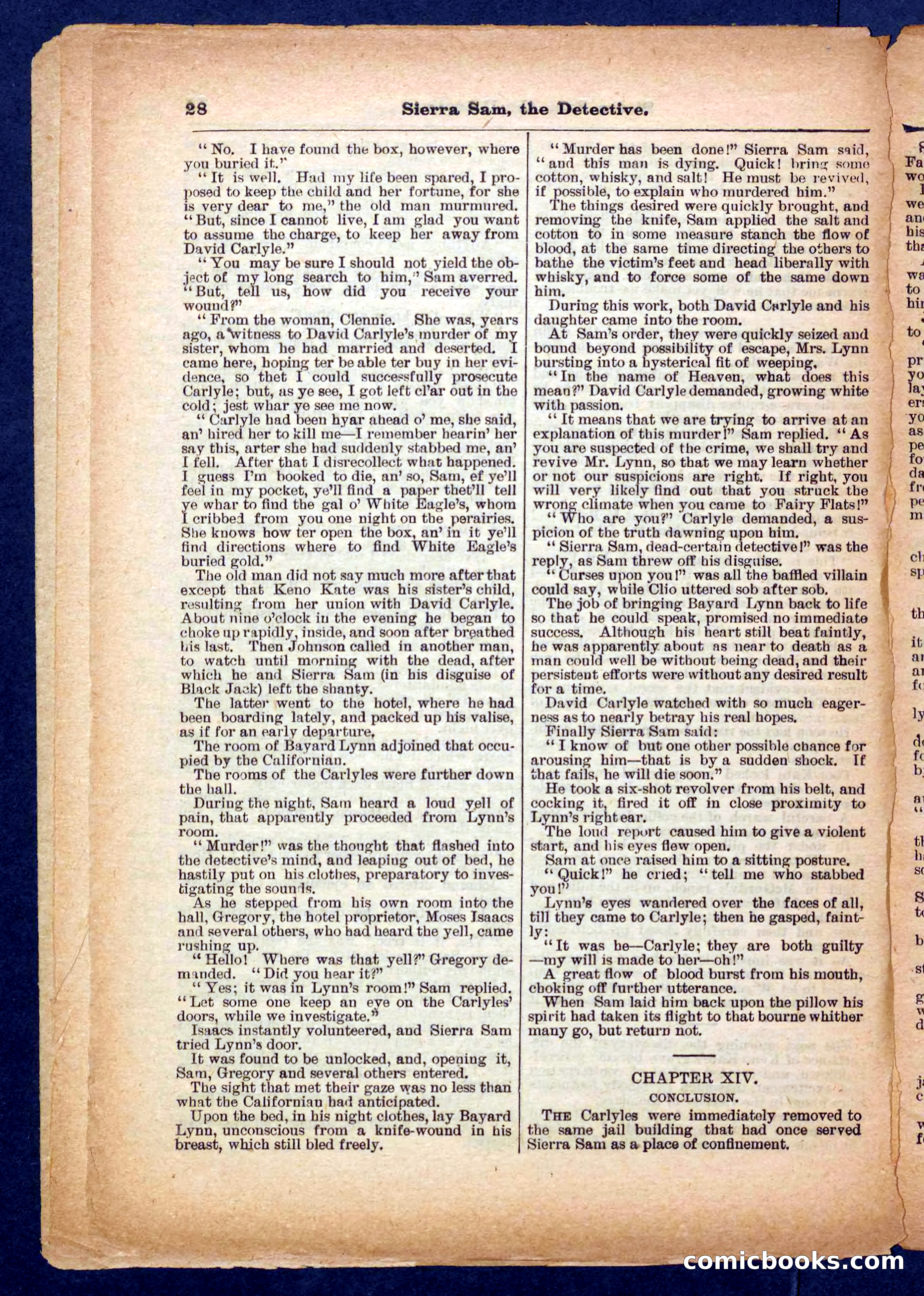 Beadle's Pocket Library No. 231 — page 28 of 32
