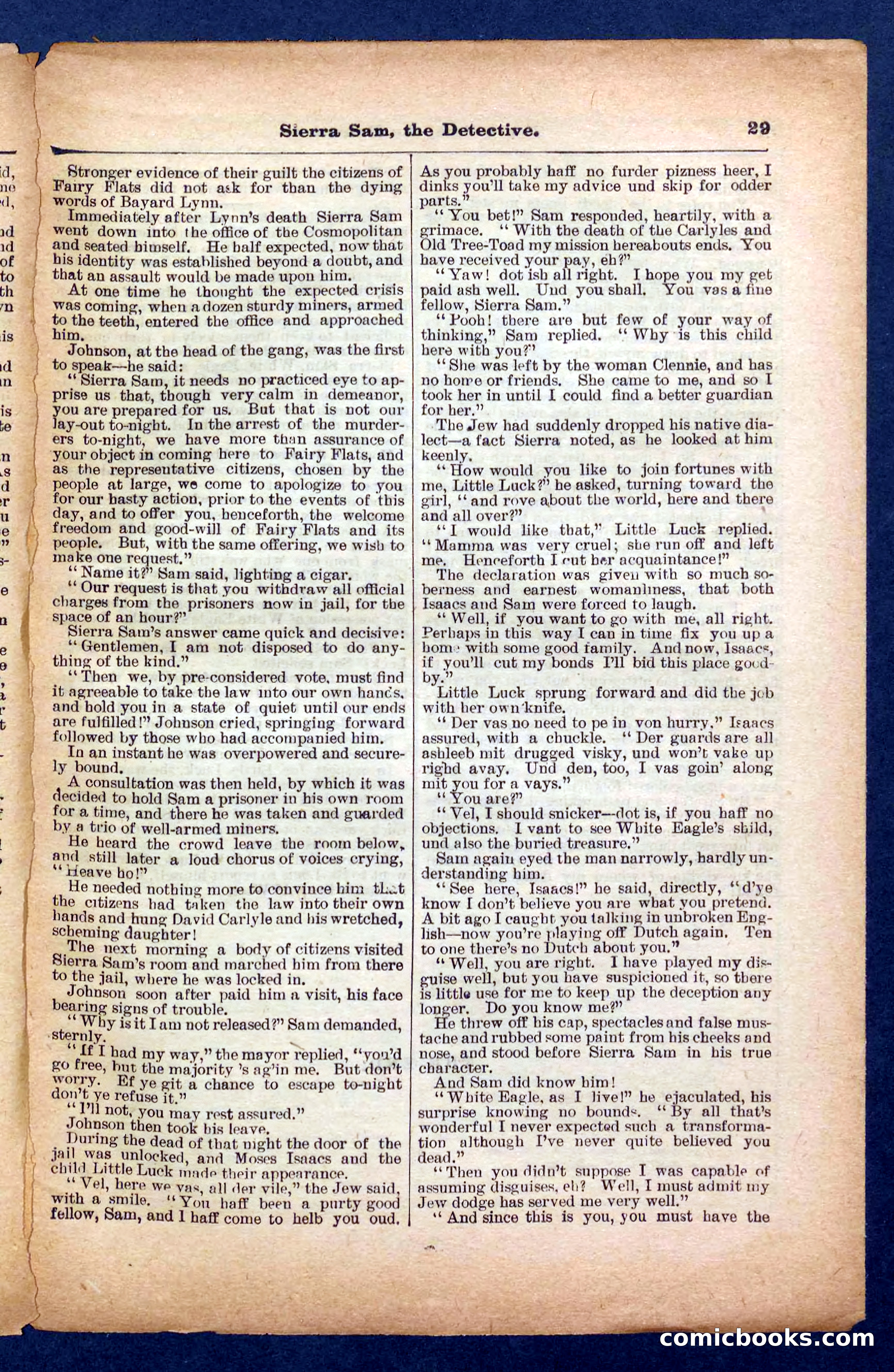Beadle's Pocket Library No. 231 — page 29 of 32