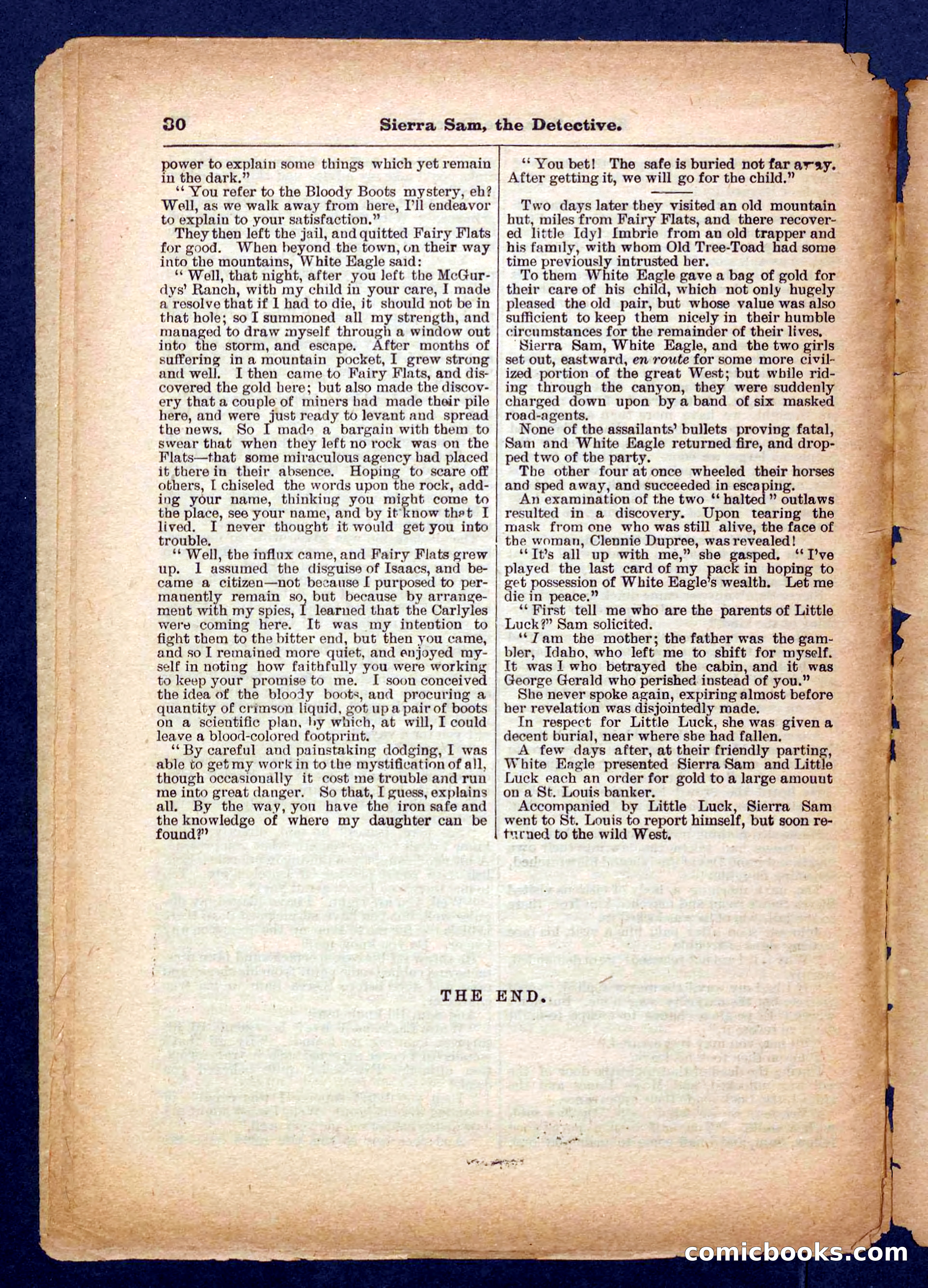 Beadle's Pocket Library No. 231 — page 30 of 32