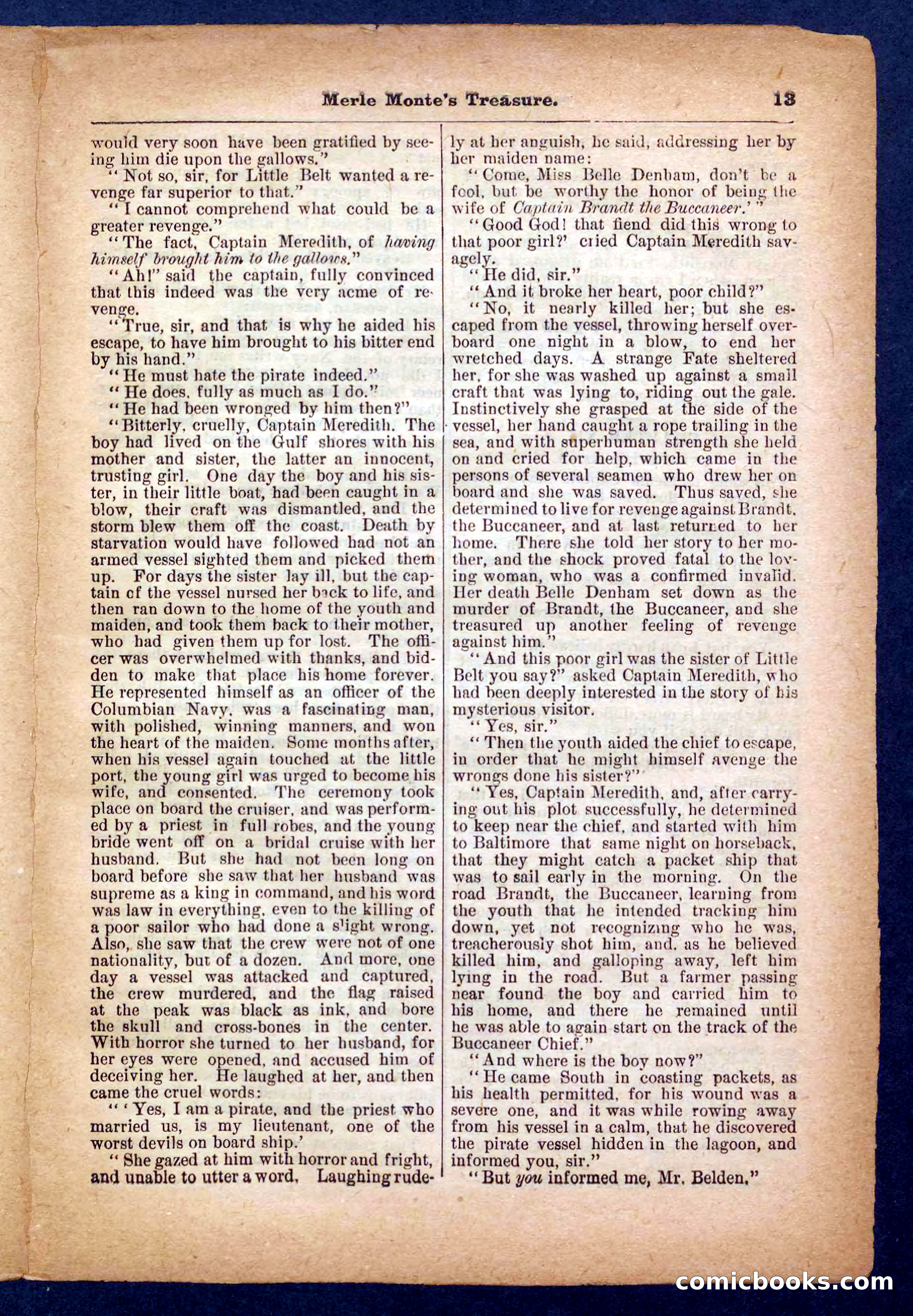 Beadle's Pocket Library No. 232 — page 13 of 32