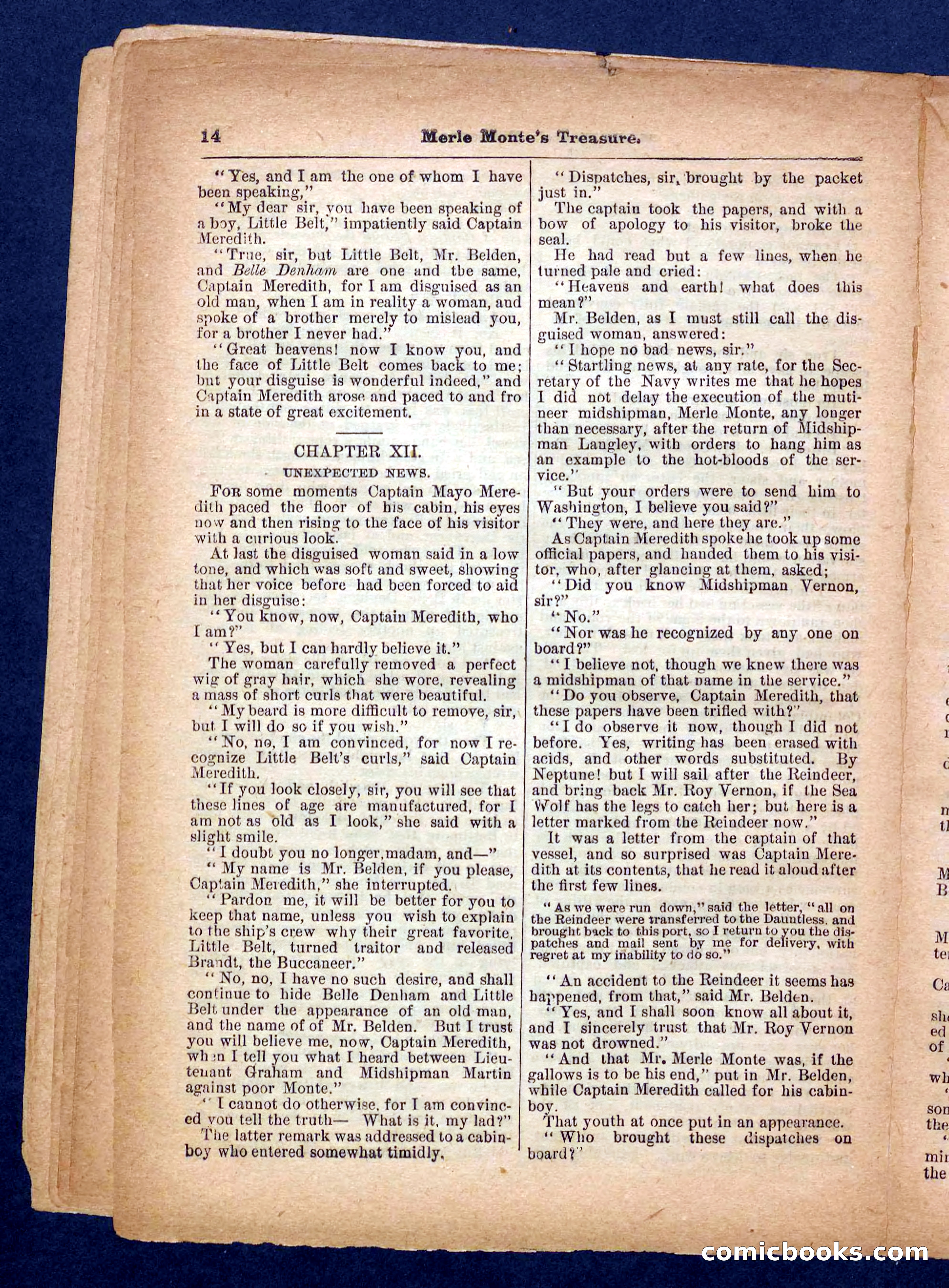 Beadle's Pocket Library No. 232 — page 14 of 32