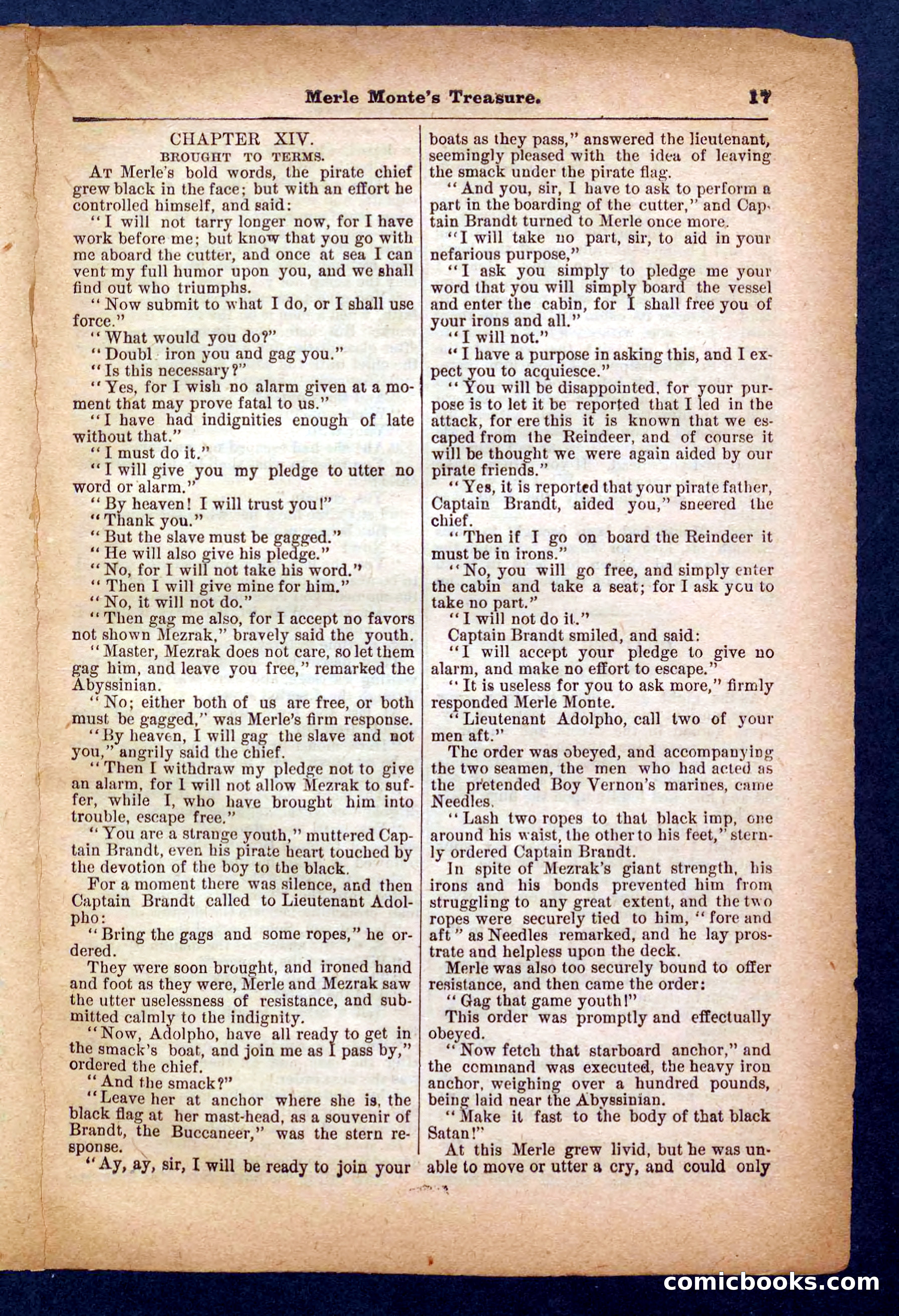 Beadle's Pocket Library No. 232 — page 17 of 32
