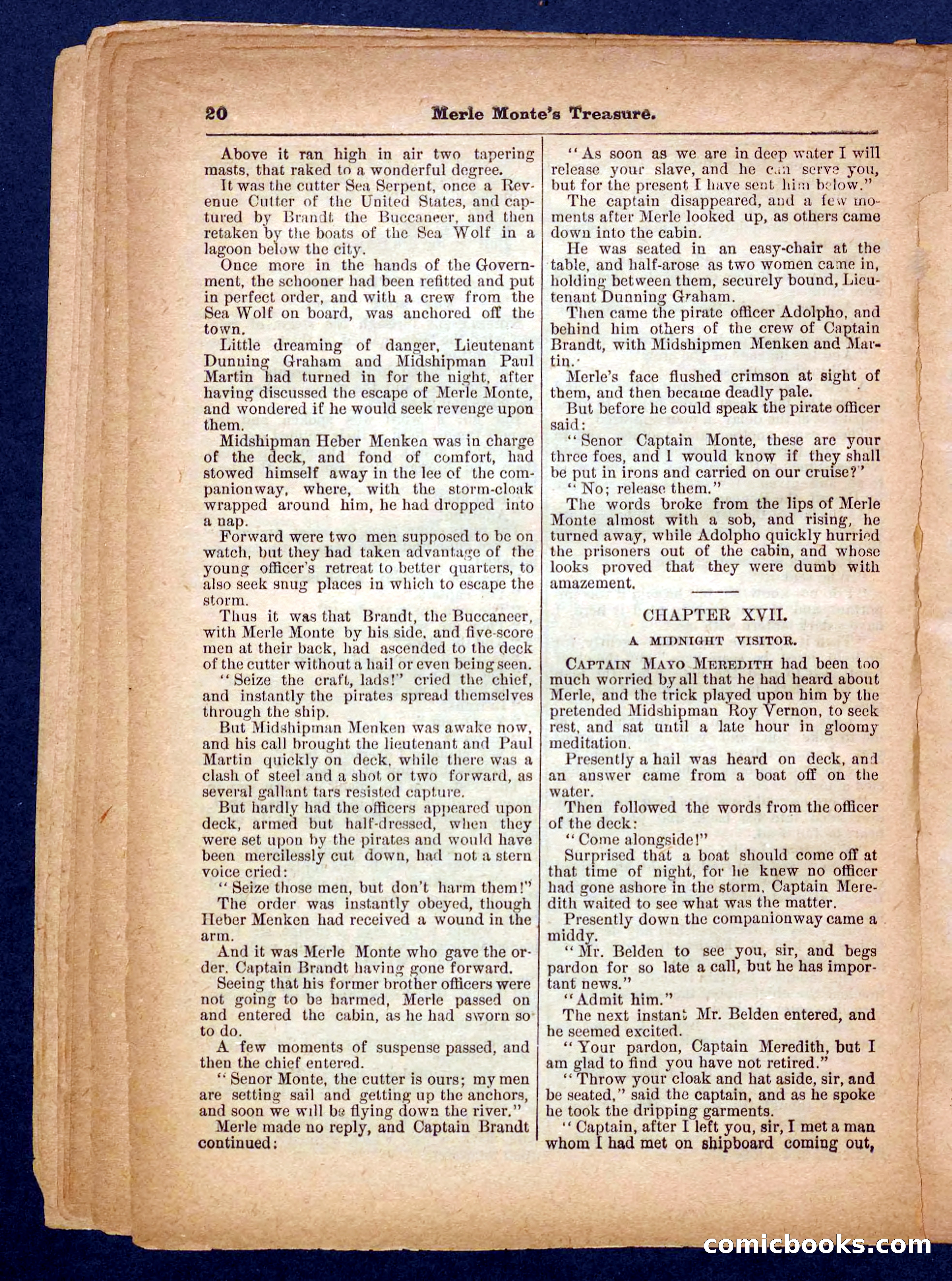 Beadle's Pocket Library No. 232 — page 20 of 32