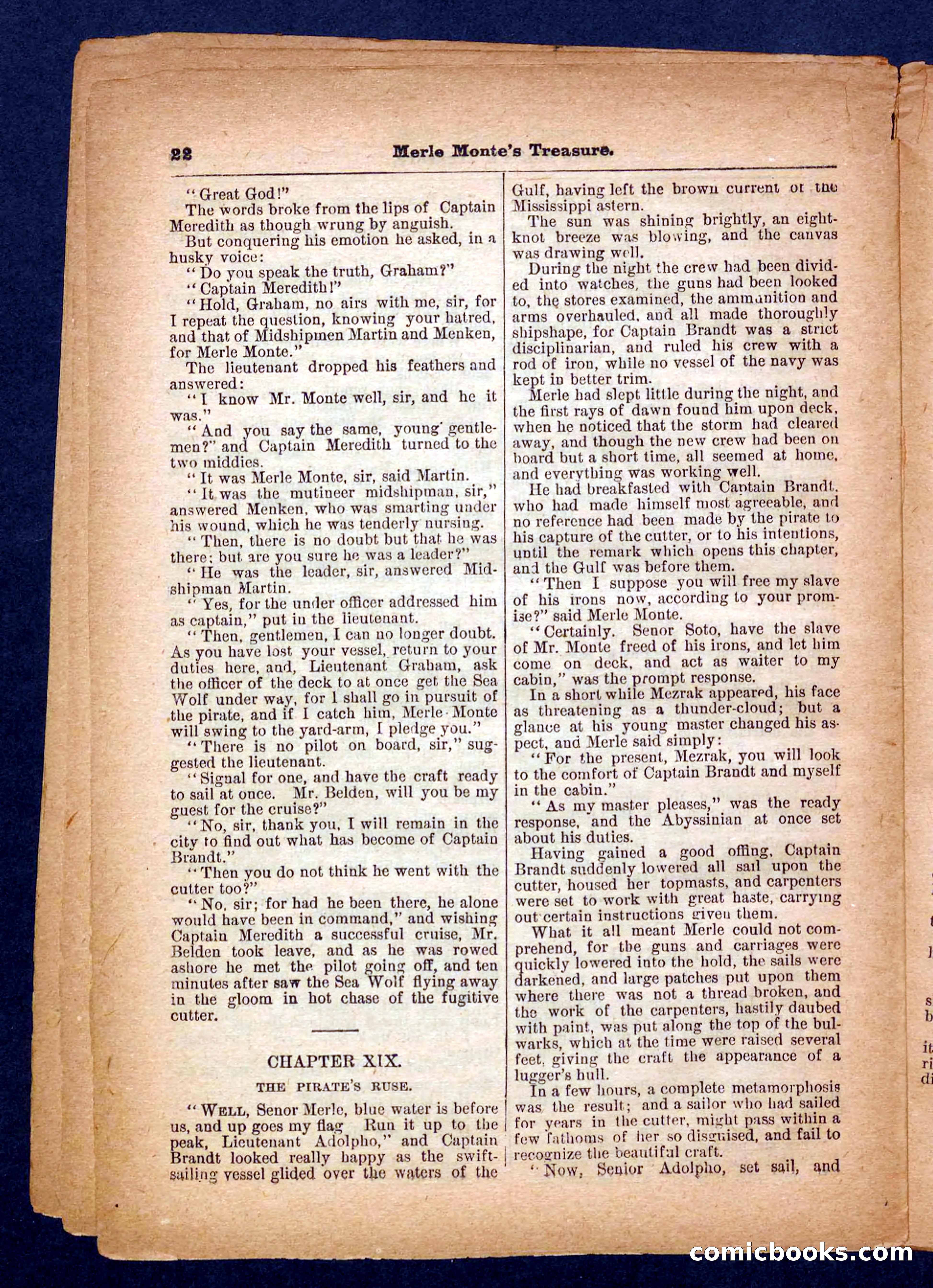 Beadle's Pocket Library No. 232 — page 22 of 32