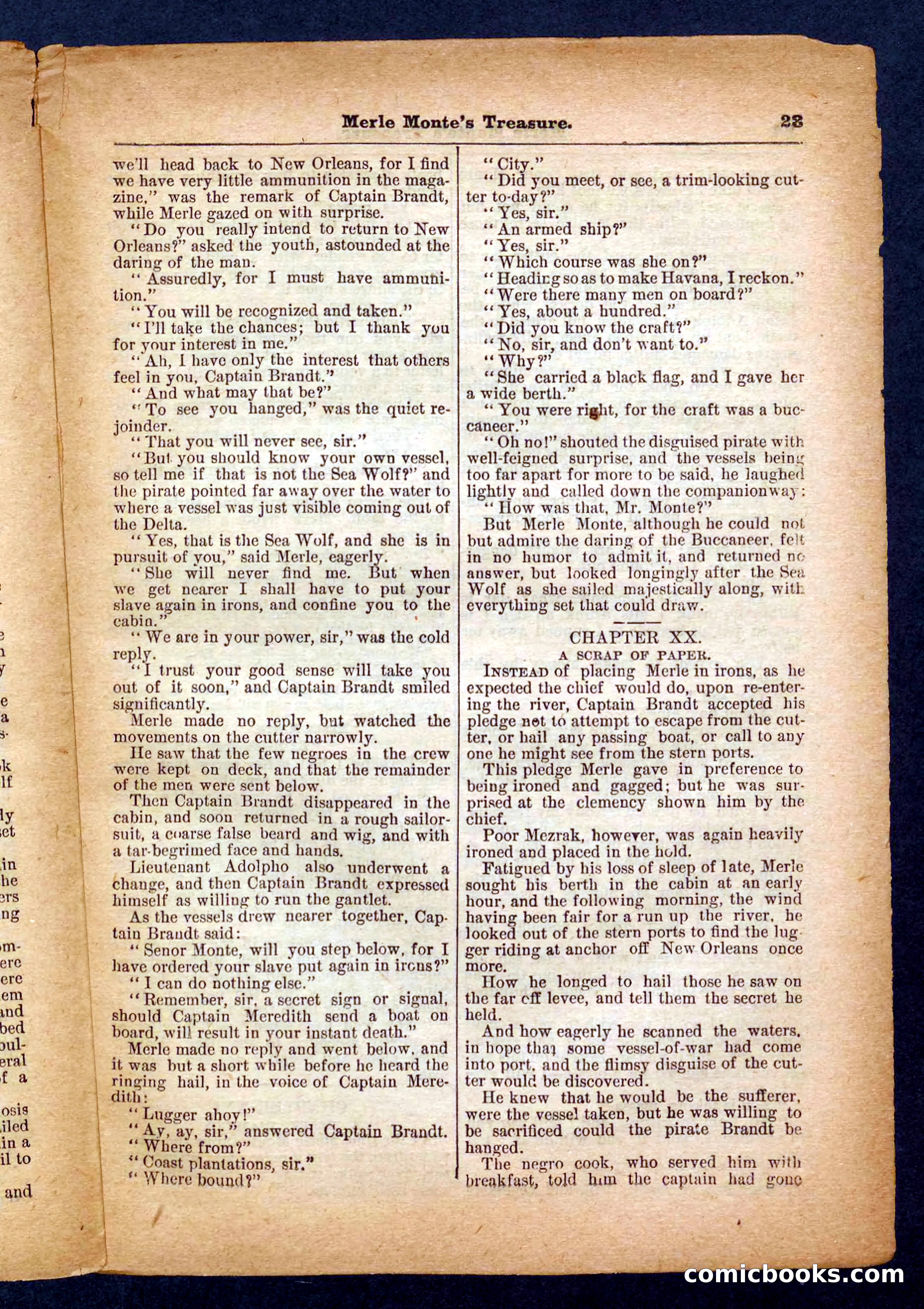Beadle's Pocket Library No. 232 — page 23 of 32