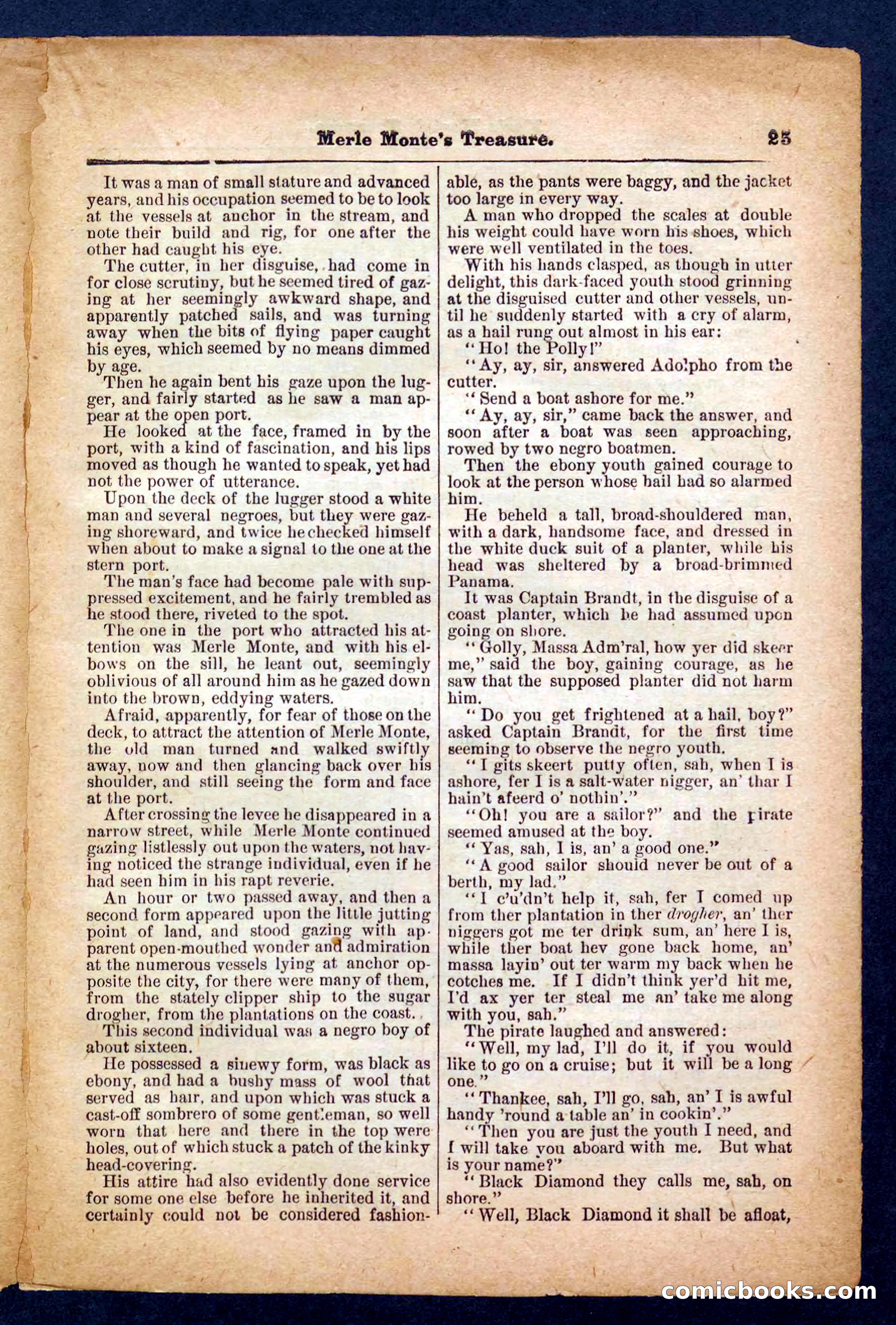 Beadle's Pocket Library No. 232 — page 25 of 32