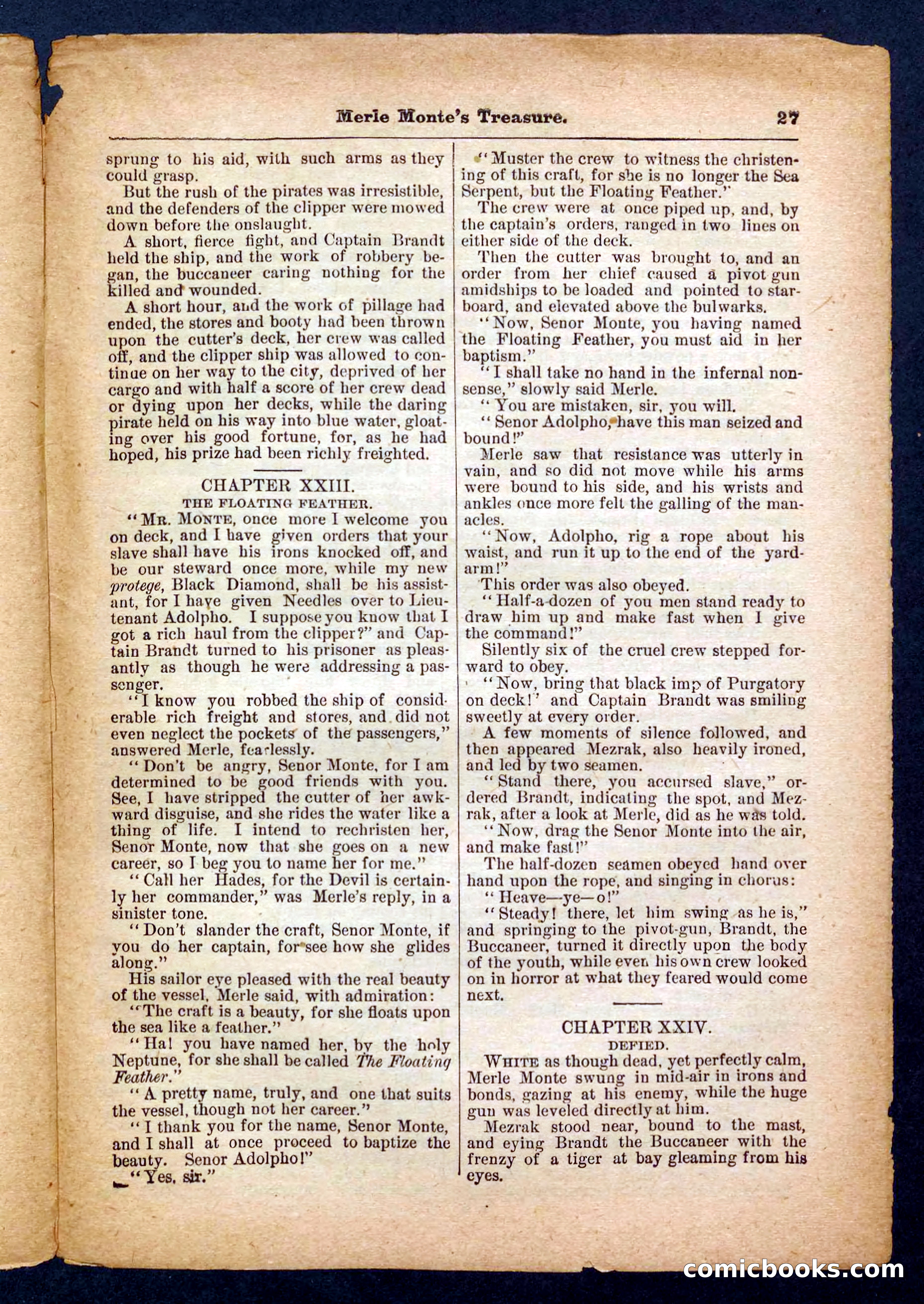 Beadle's Pocket Library No. 232 — page 27 of 32