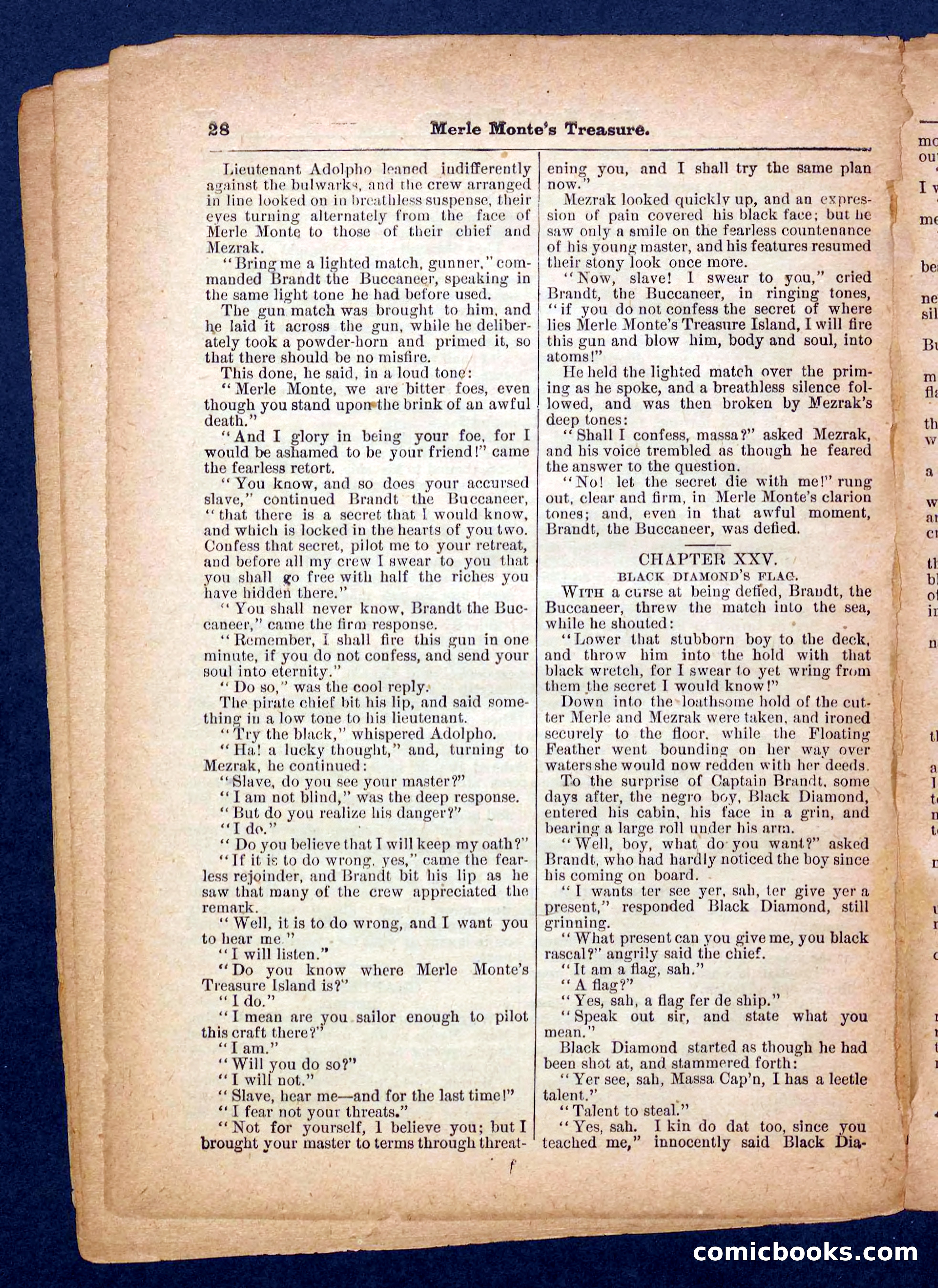 Beadle's Pocket Library No. 232 — page 28 of 32
