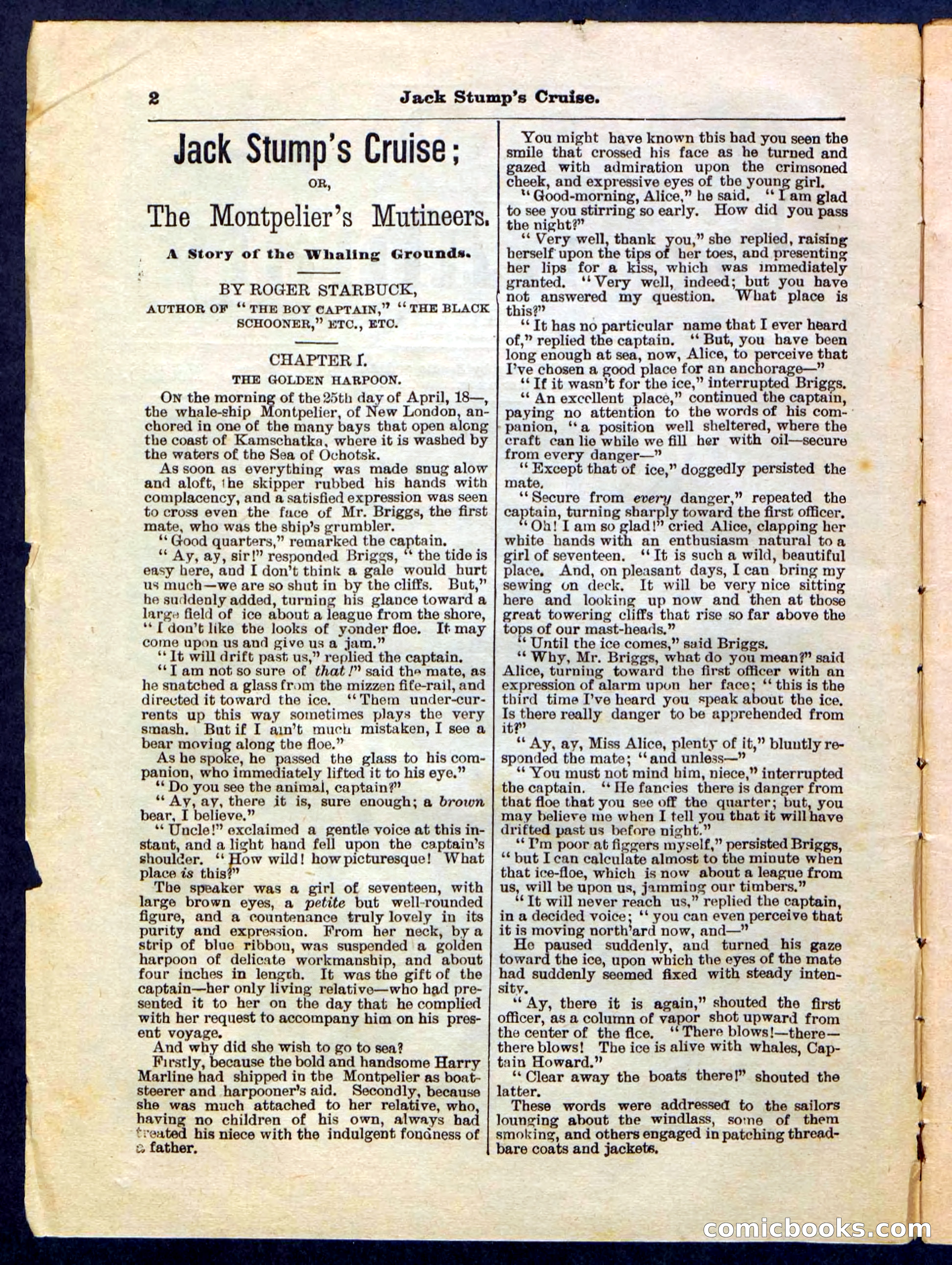 Beadle's Pocket Library No. 235 — page 2 of 32