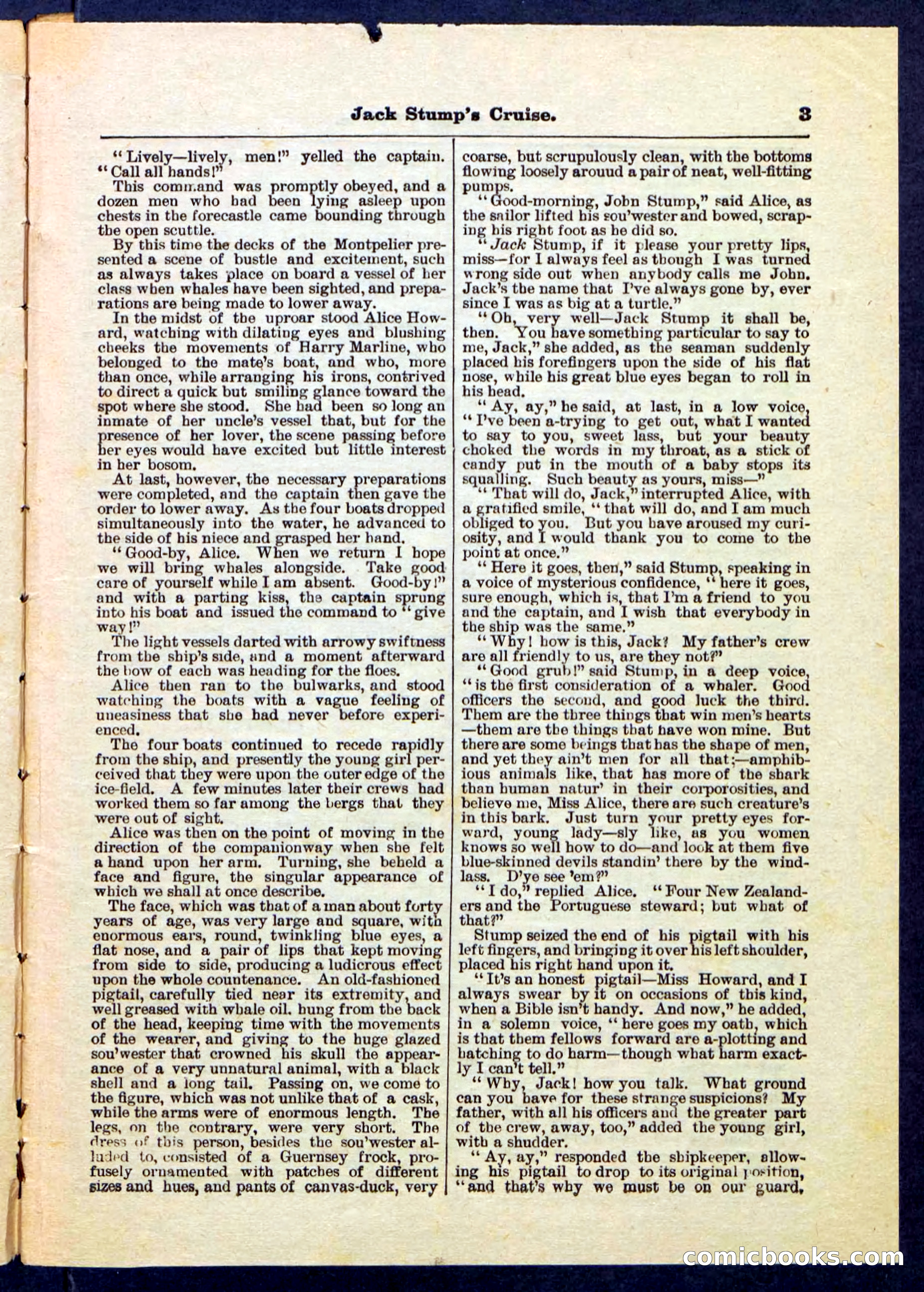 Beadle's Pocket Library No. 235 — page 3 of 32
