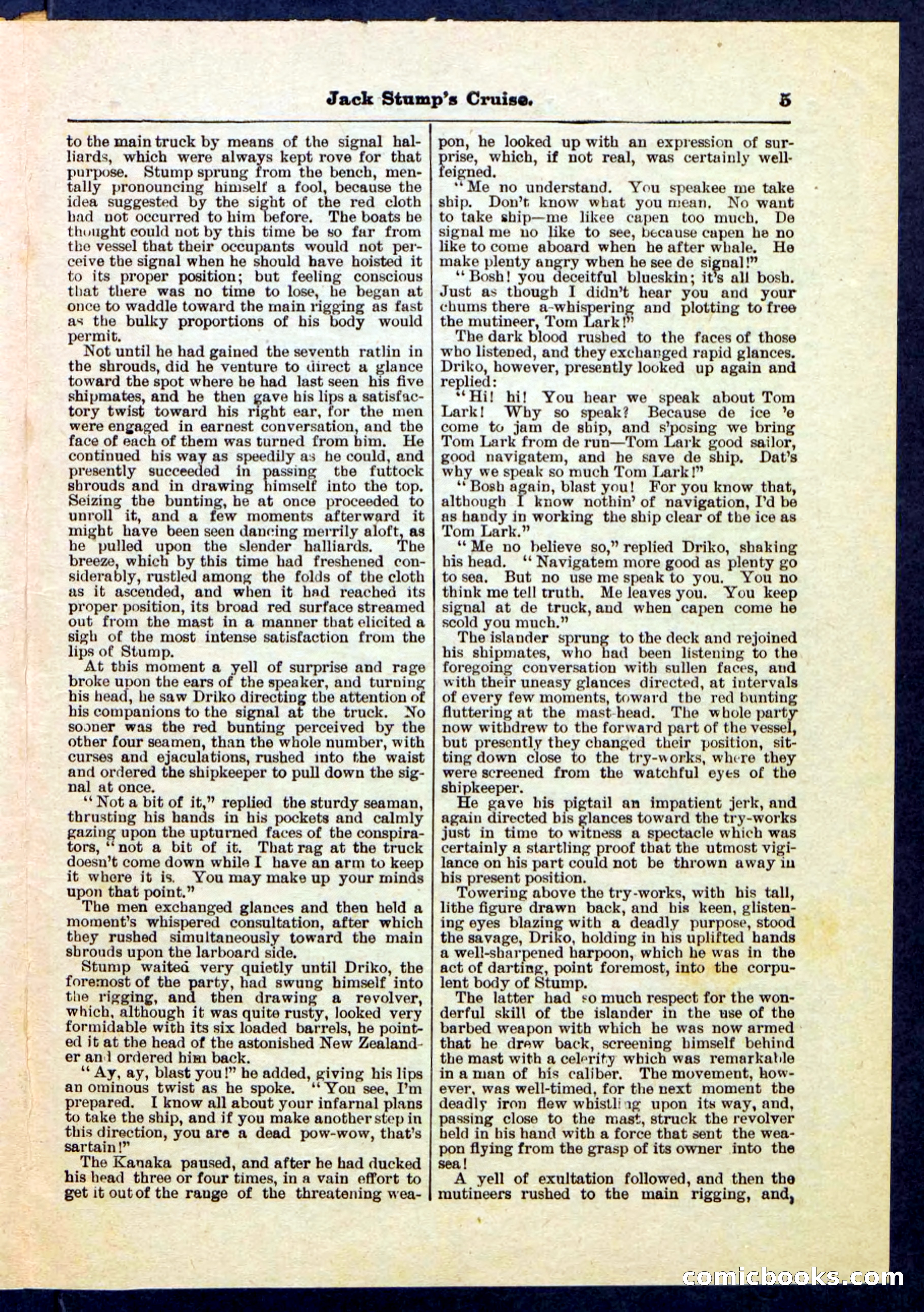 Beadle's Pocket Library No. 235 — page 5 of 32