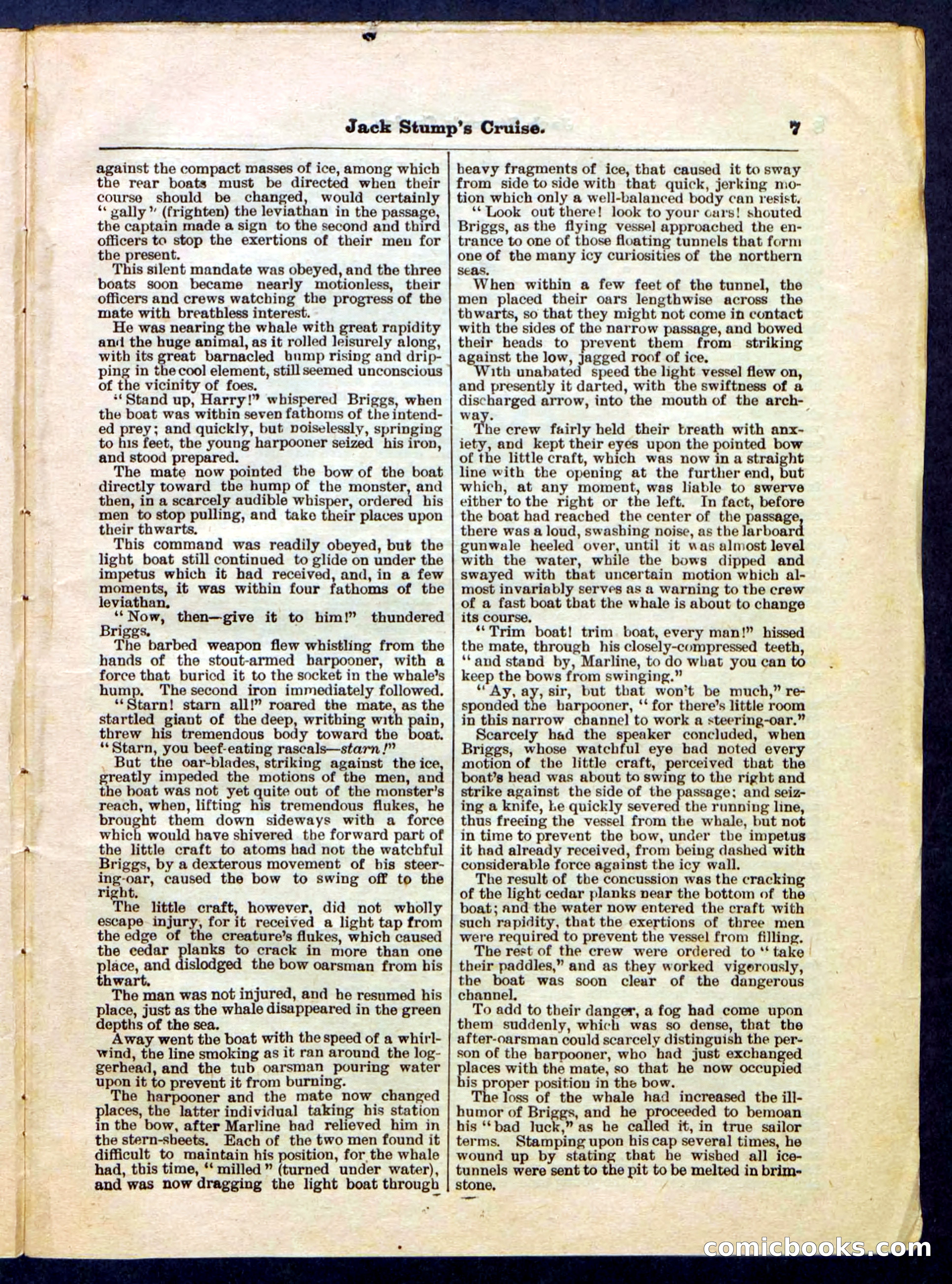 Beadle's Pocket Library No. 235 — page 7 of 32