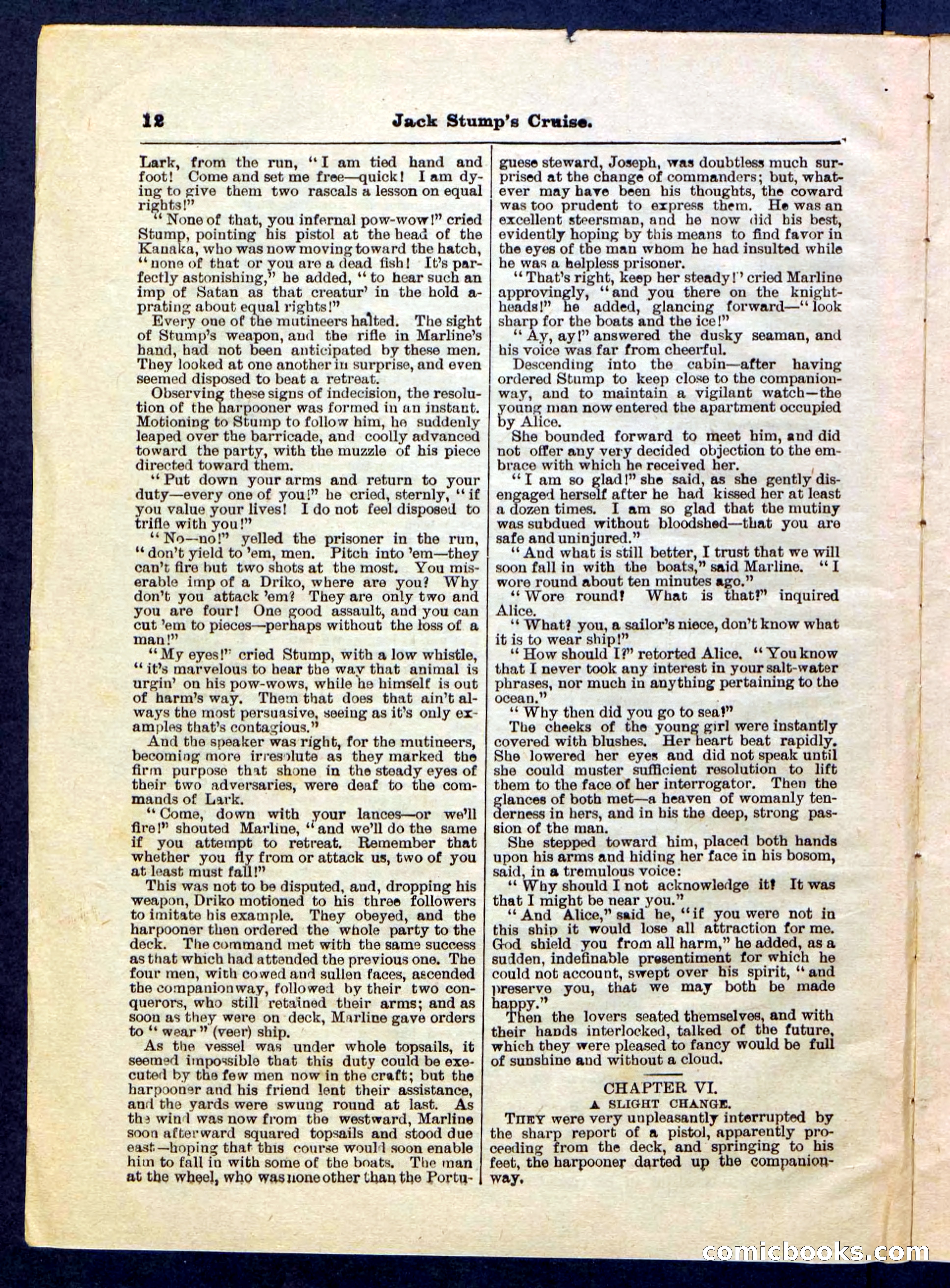 Beadle's Pocket Library No. 235 — page 12 of 32
