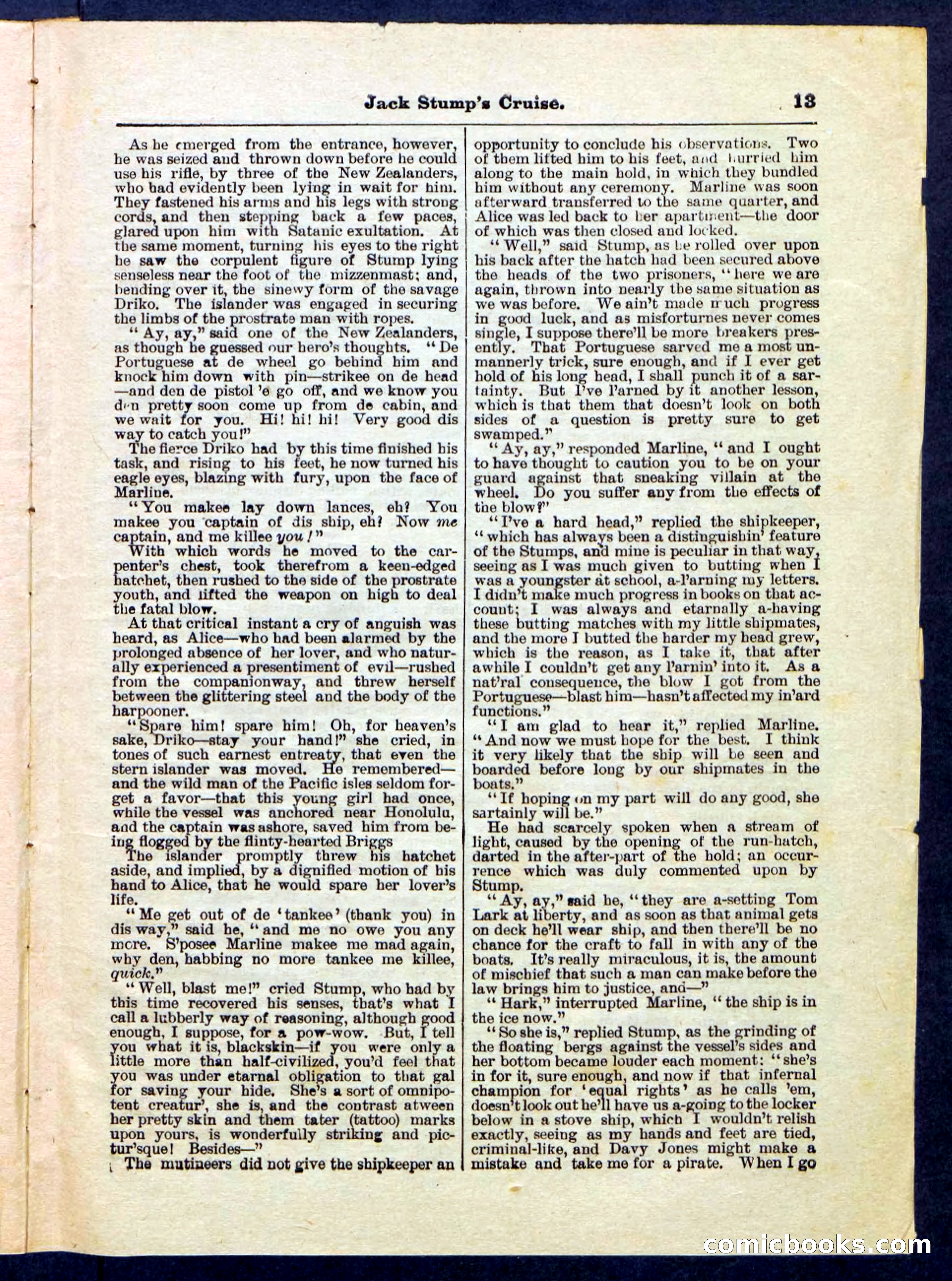 Beadle's Pocket Library No. 235 — page 13 of 32