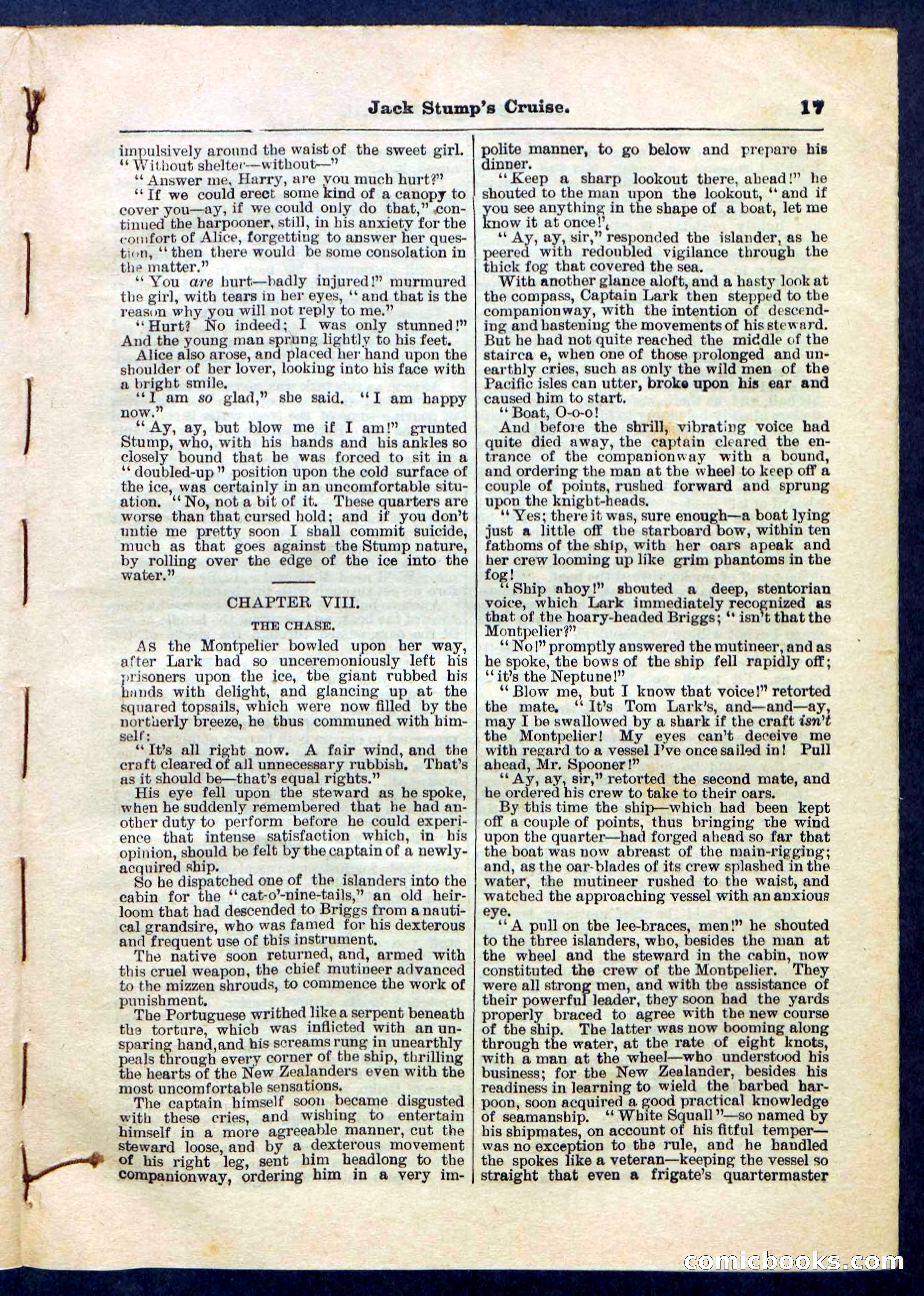 Beadle's Pocket Library No. 235 — page 17 of 32