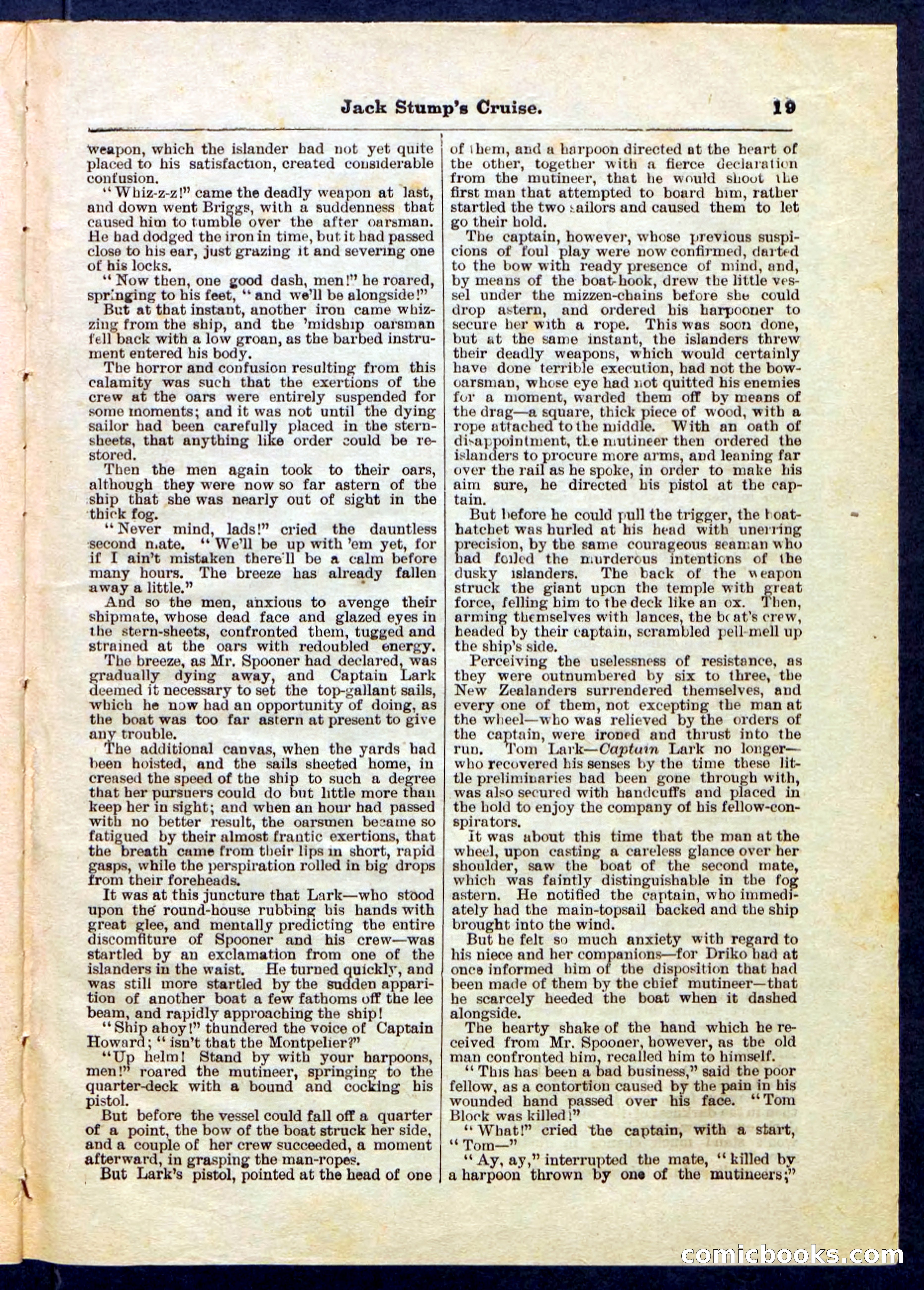 Beadle's Pocket Library No. 235 — page 19 of 32