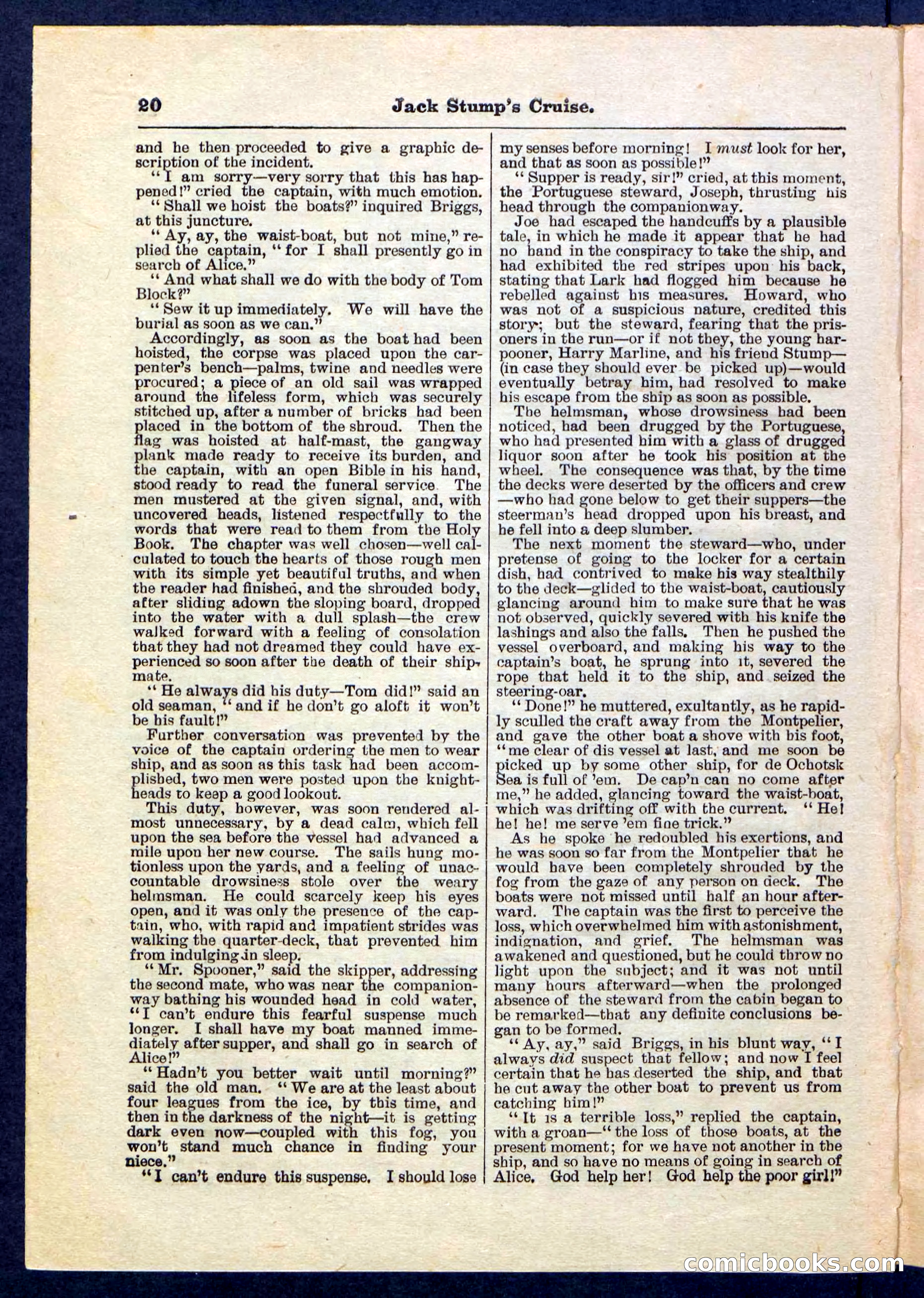 Beadle's Pocket Library No. 235 — page 20 of 32