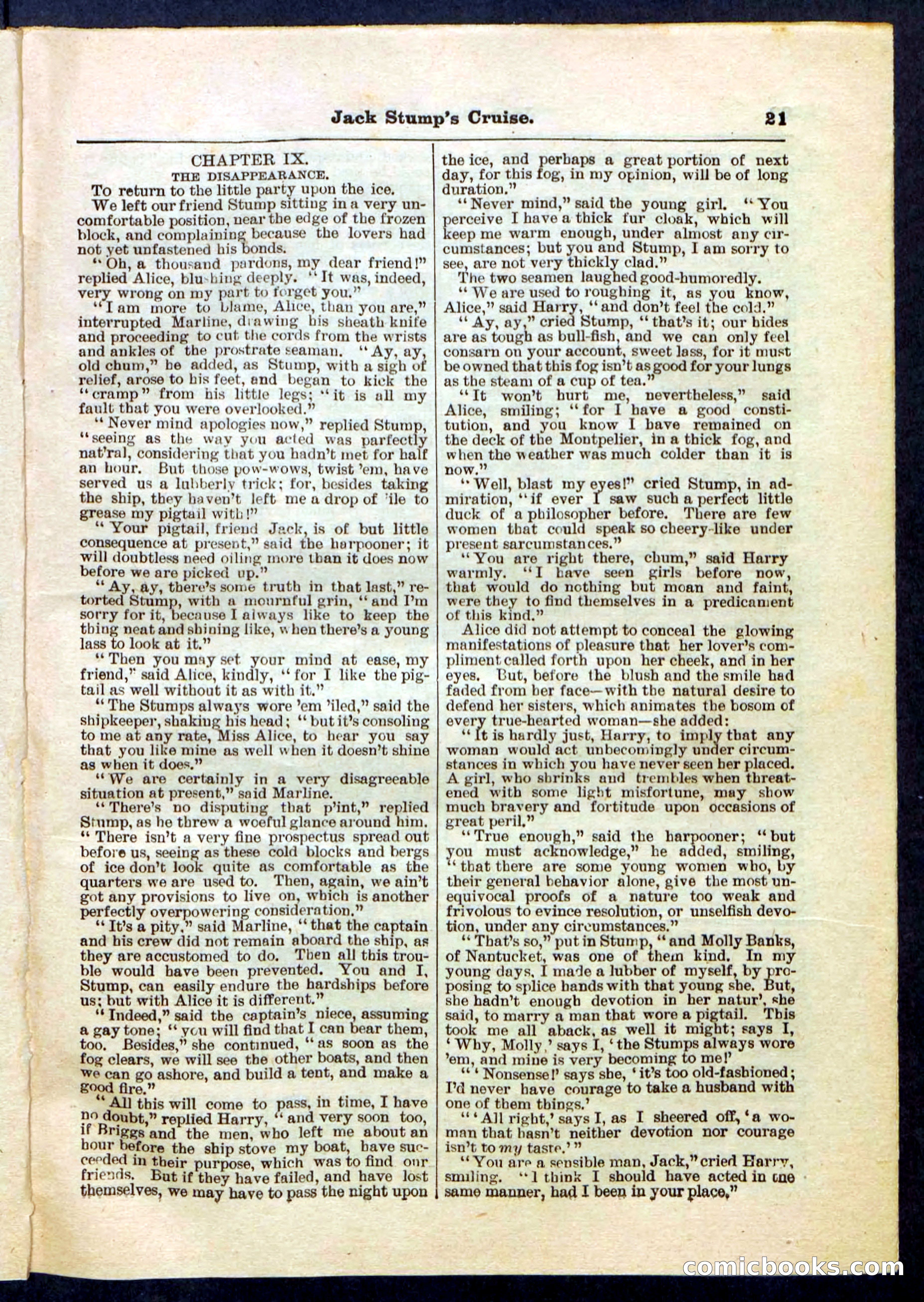 Beadle's Pocket Library No. 235 — page 21 of 32