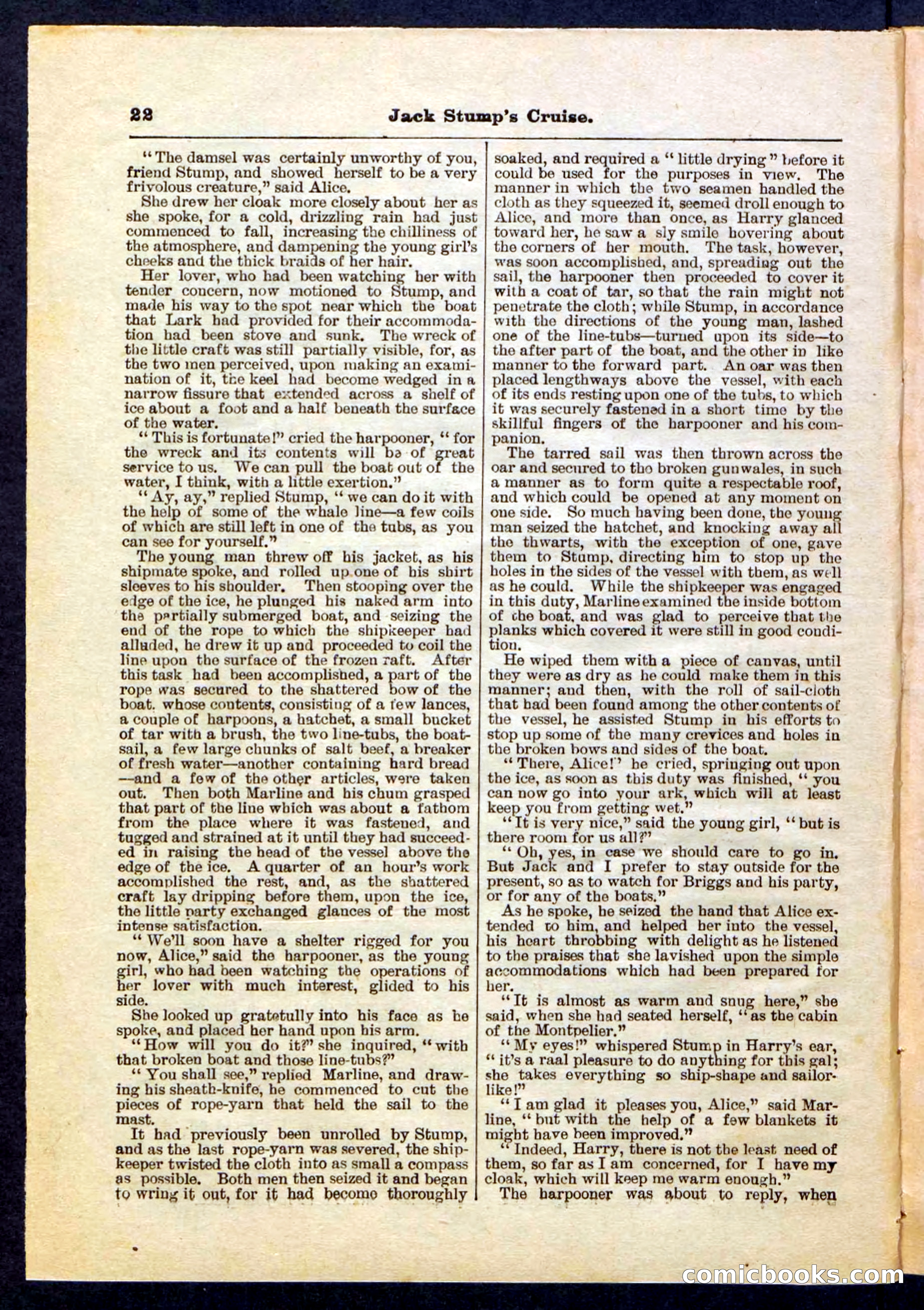Beadle's Pocket Library No. 235 — page 22 of 32