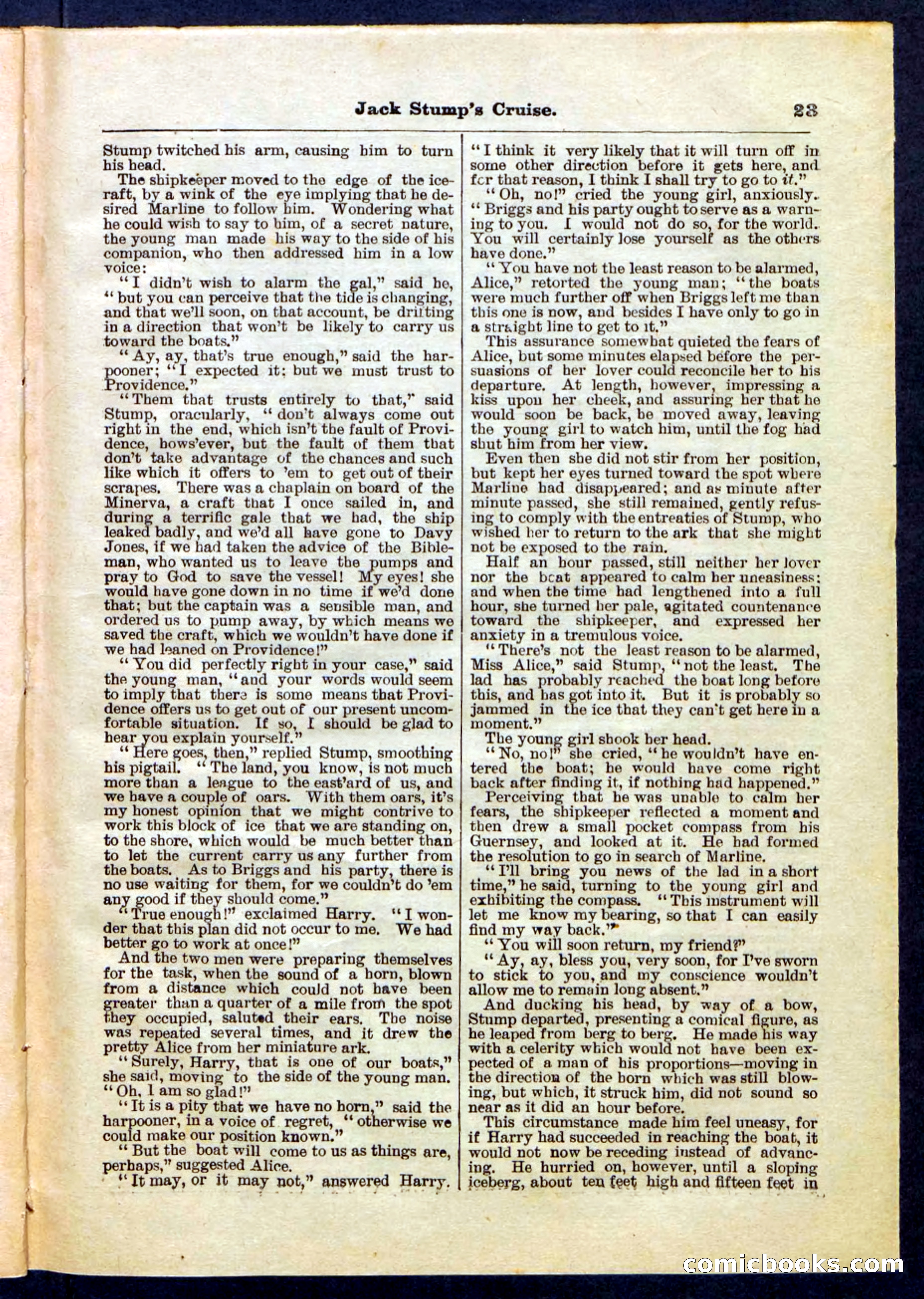 Beadle's Pocket Library No. 235 — page 23 of 32